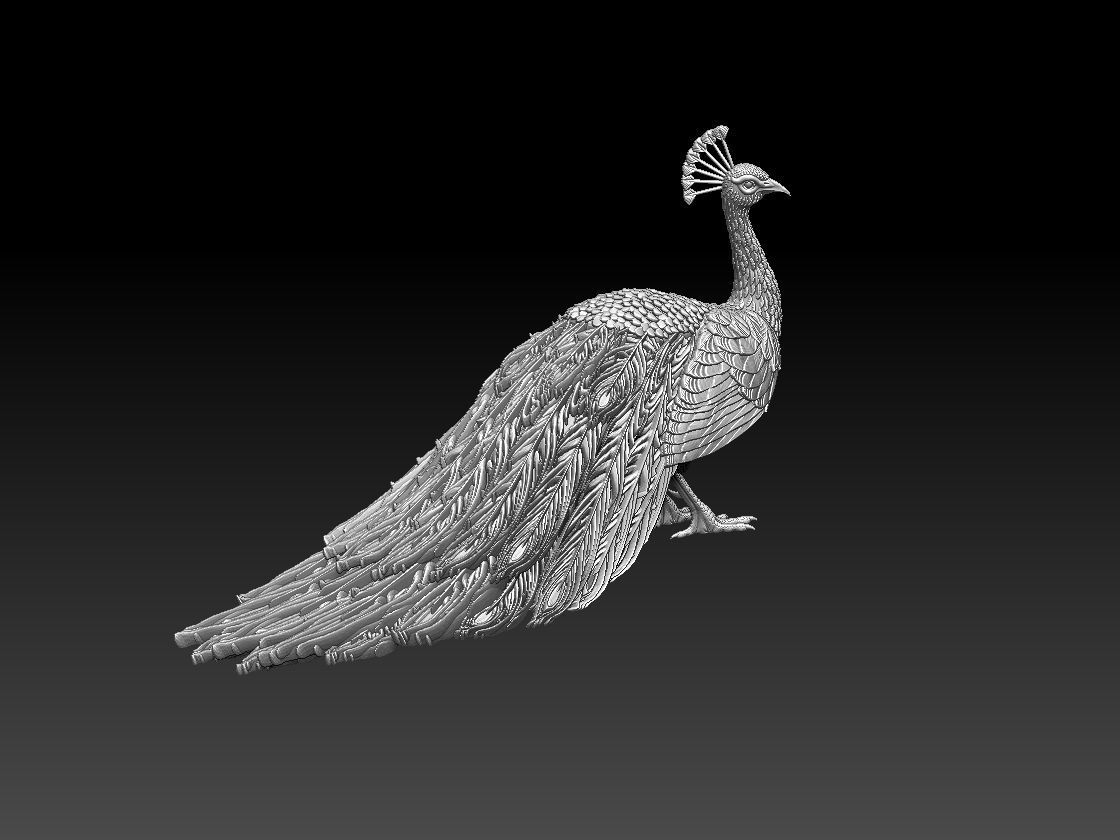 peacock 3D print model_28