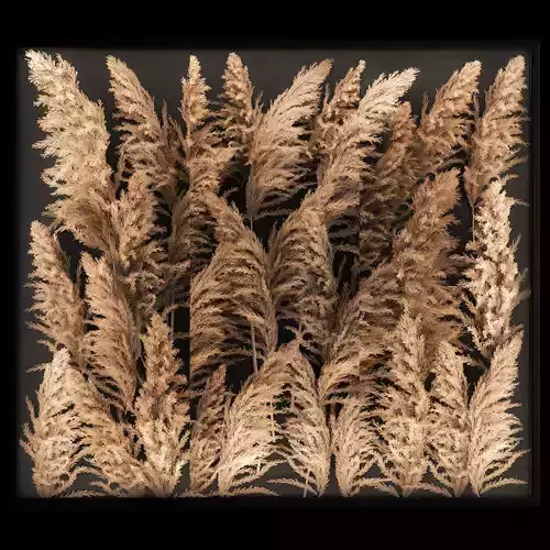 Decorating A Wall Of Dry Reeds For The Interior 258