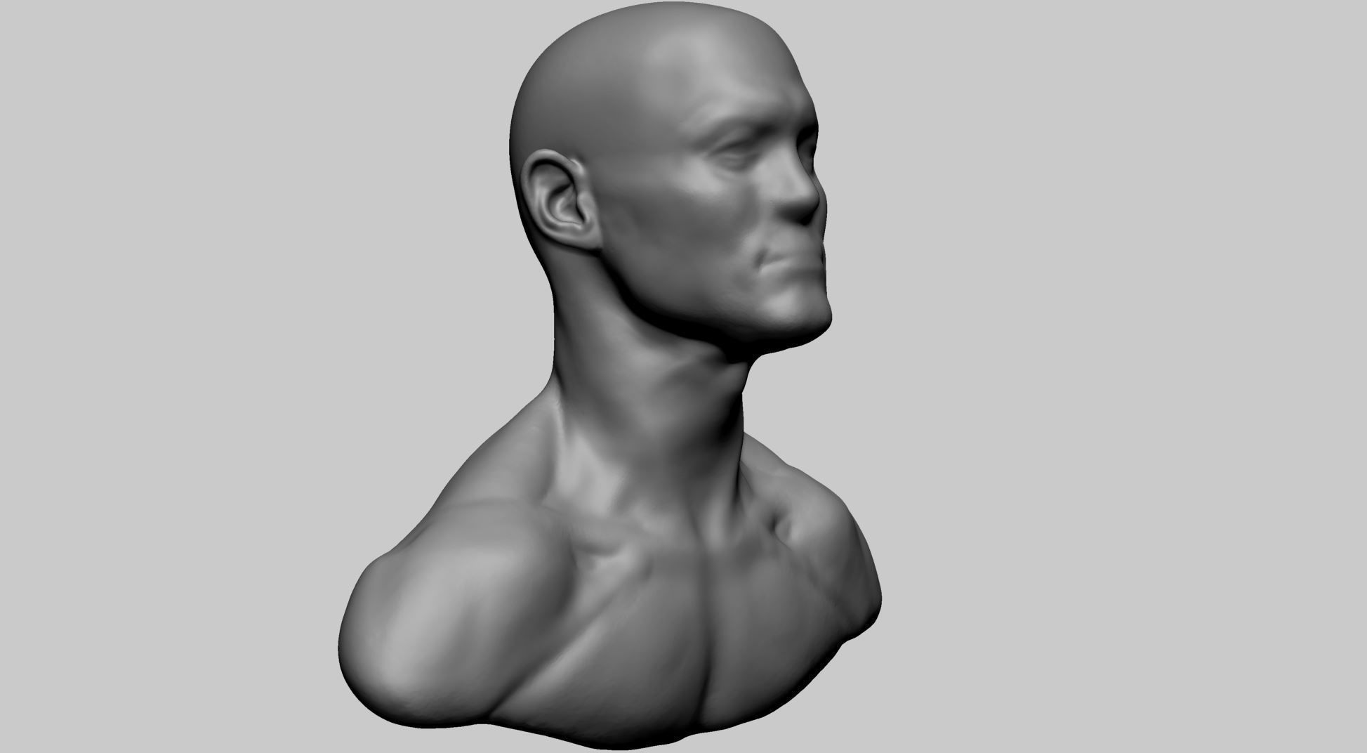 Base Male Head B 3D model_1