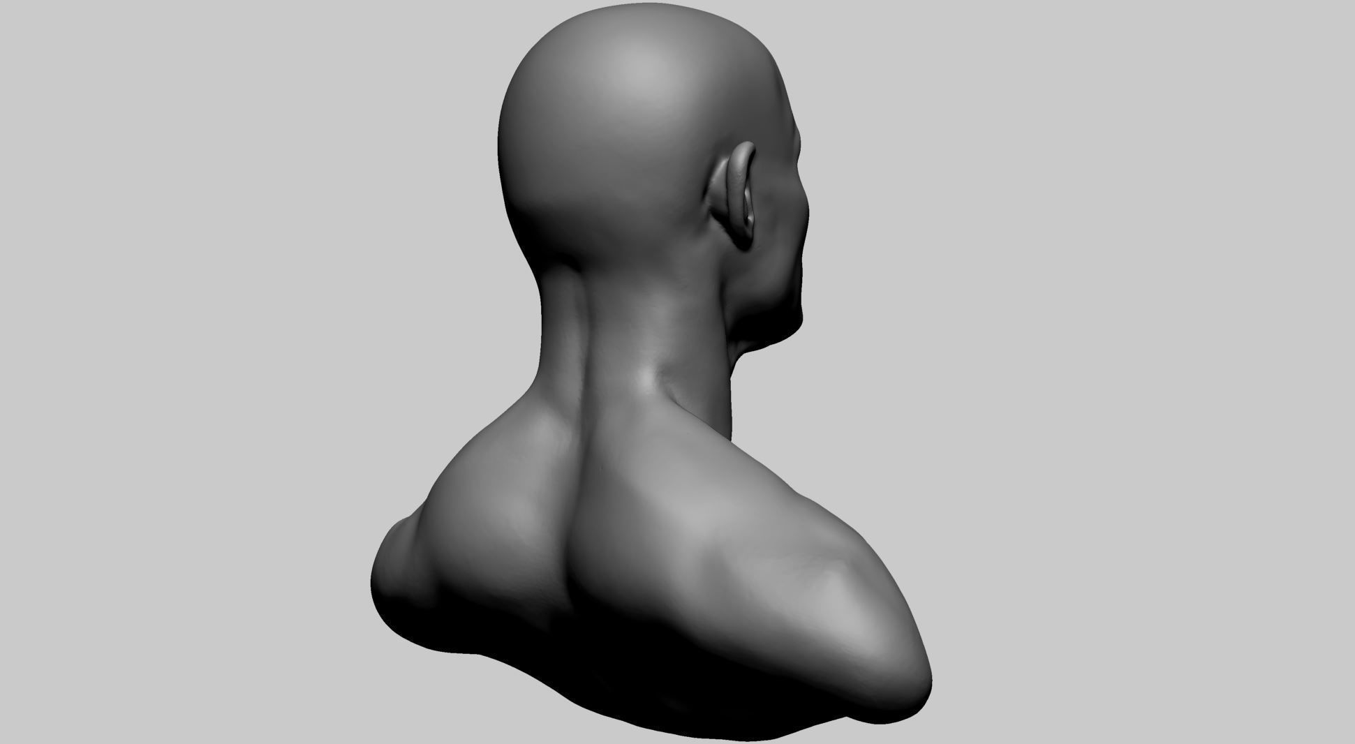 Base Male Head B 3D model_3