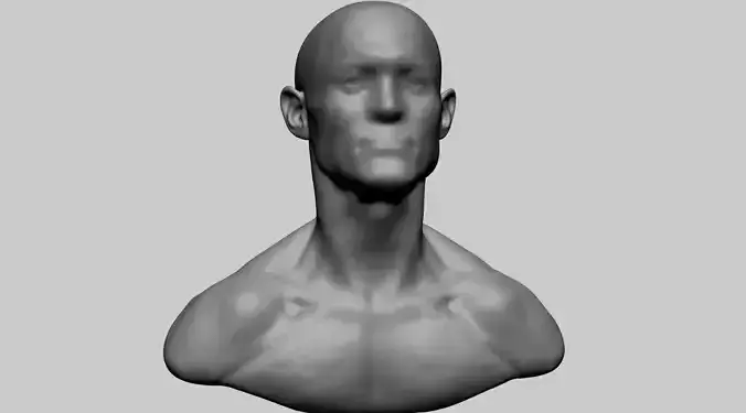 Base Male Head B 3D model