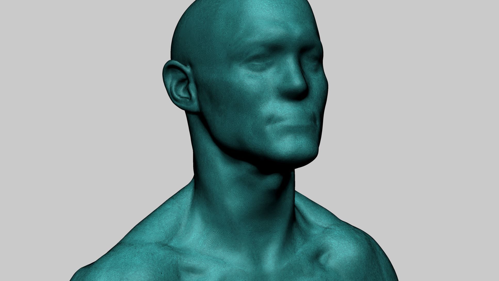 Base Male Head B 3D model_10