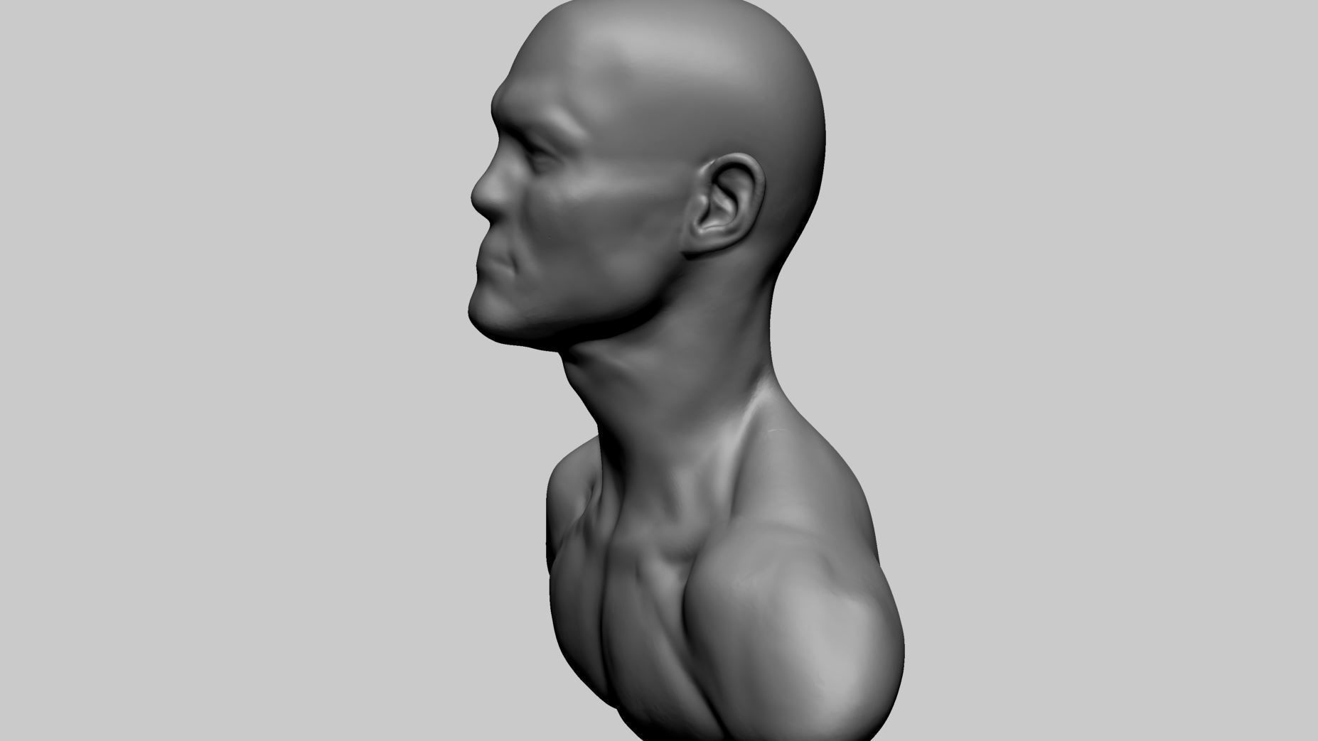 Base Male Head B 3D model_6
