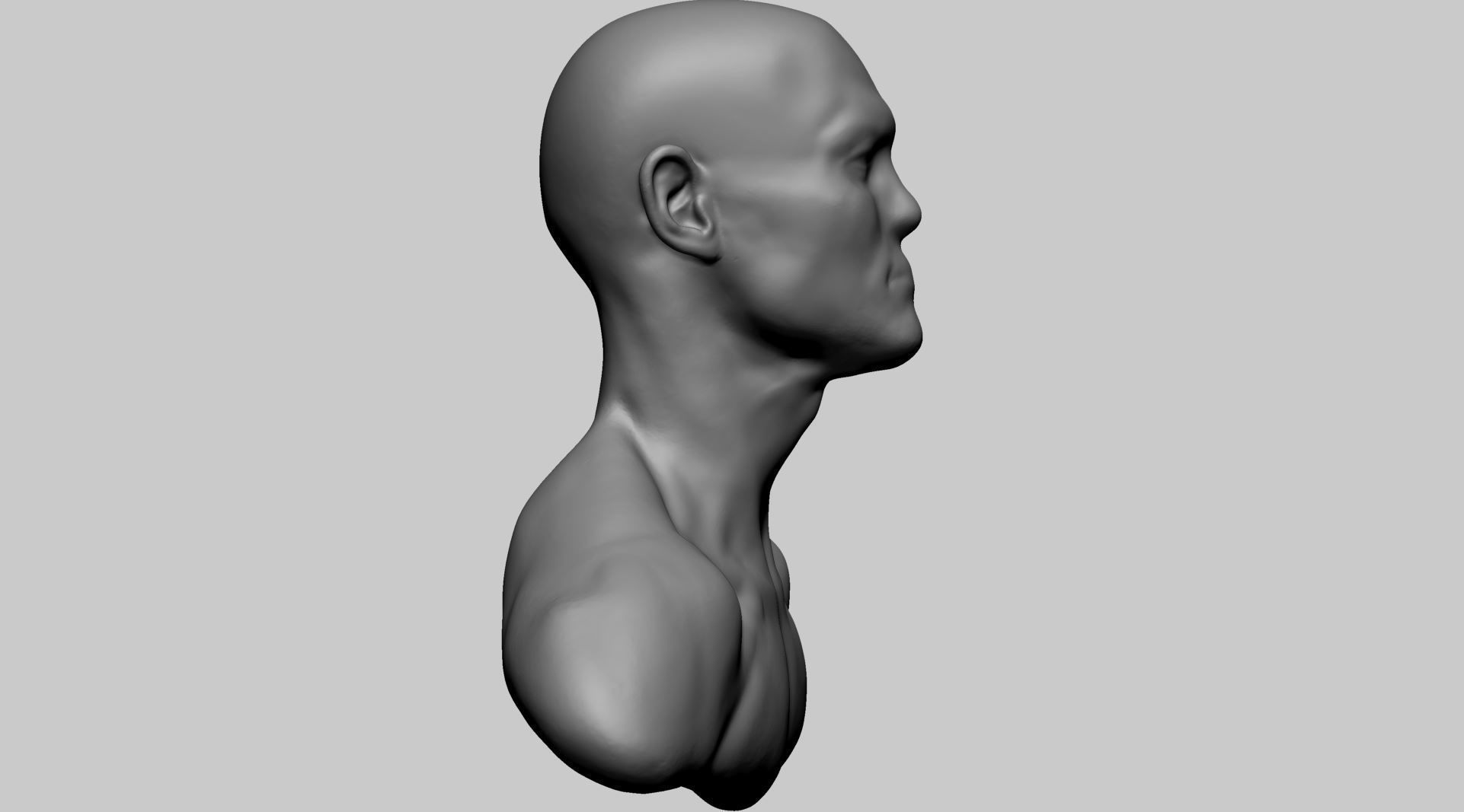 Base Male Head B 3D model_2