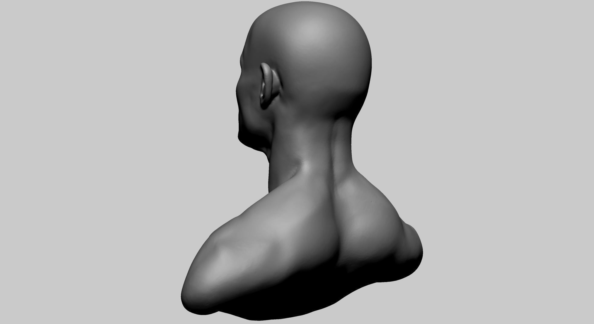 Base Male Head B 3D model_5