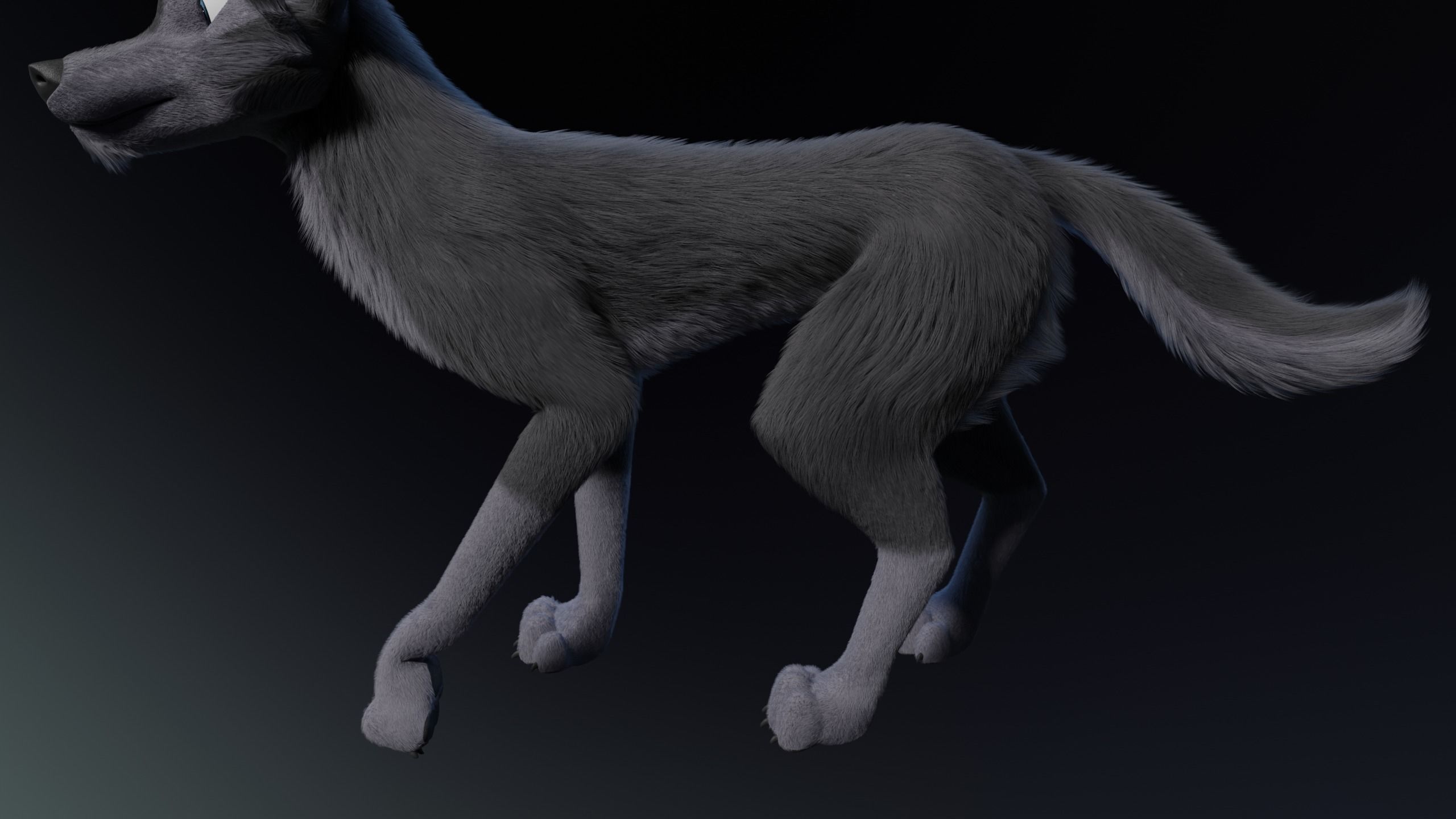 Niju Wolf 3D model_19