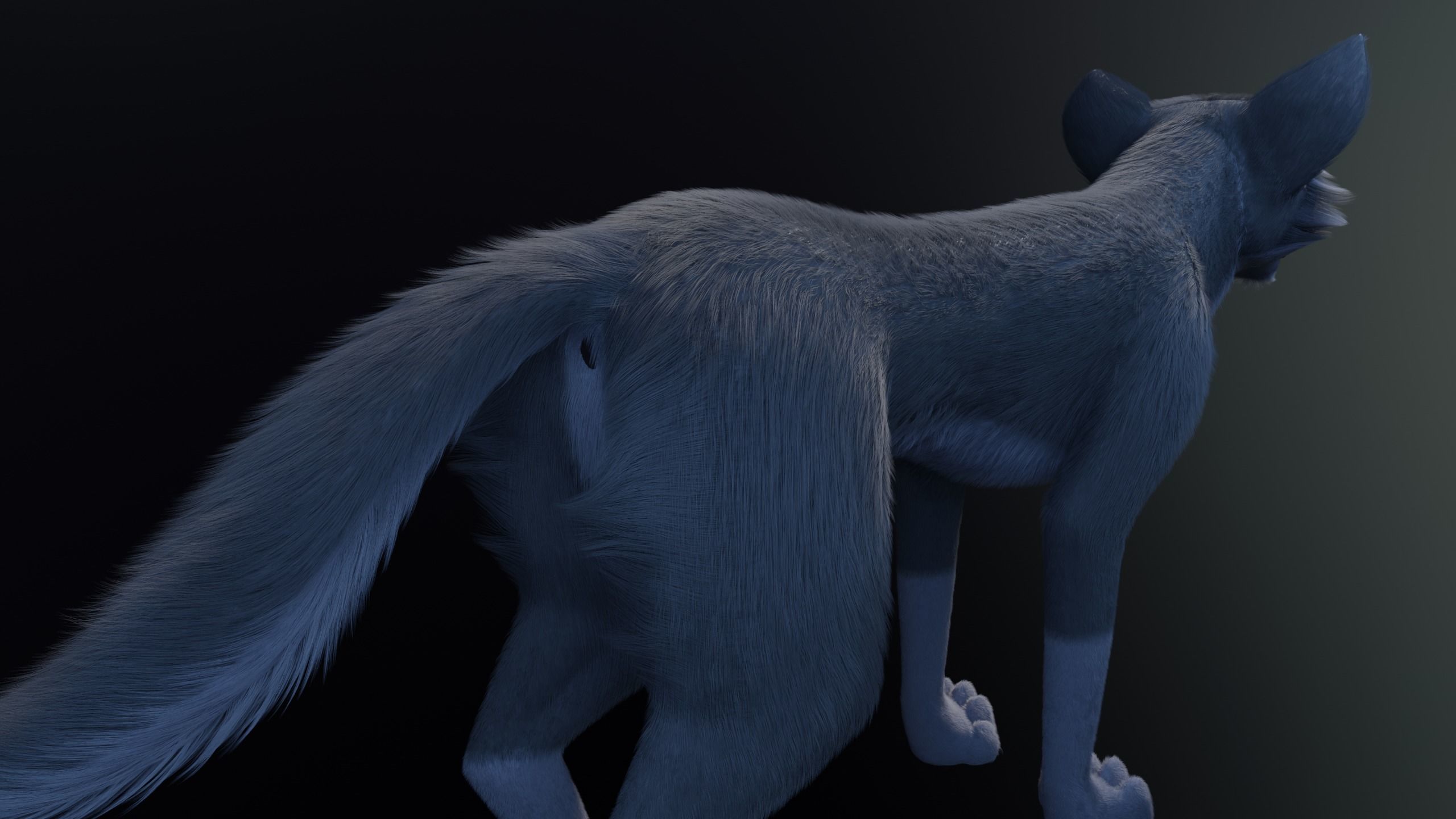 Niju Wolf 3D model_9