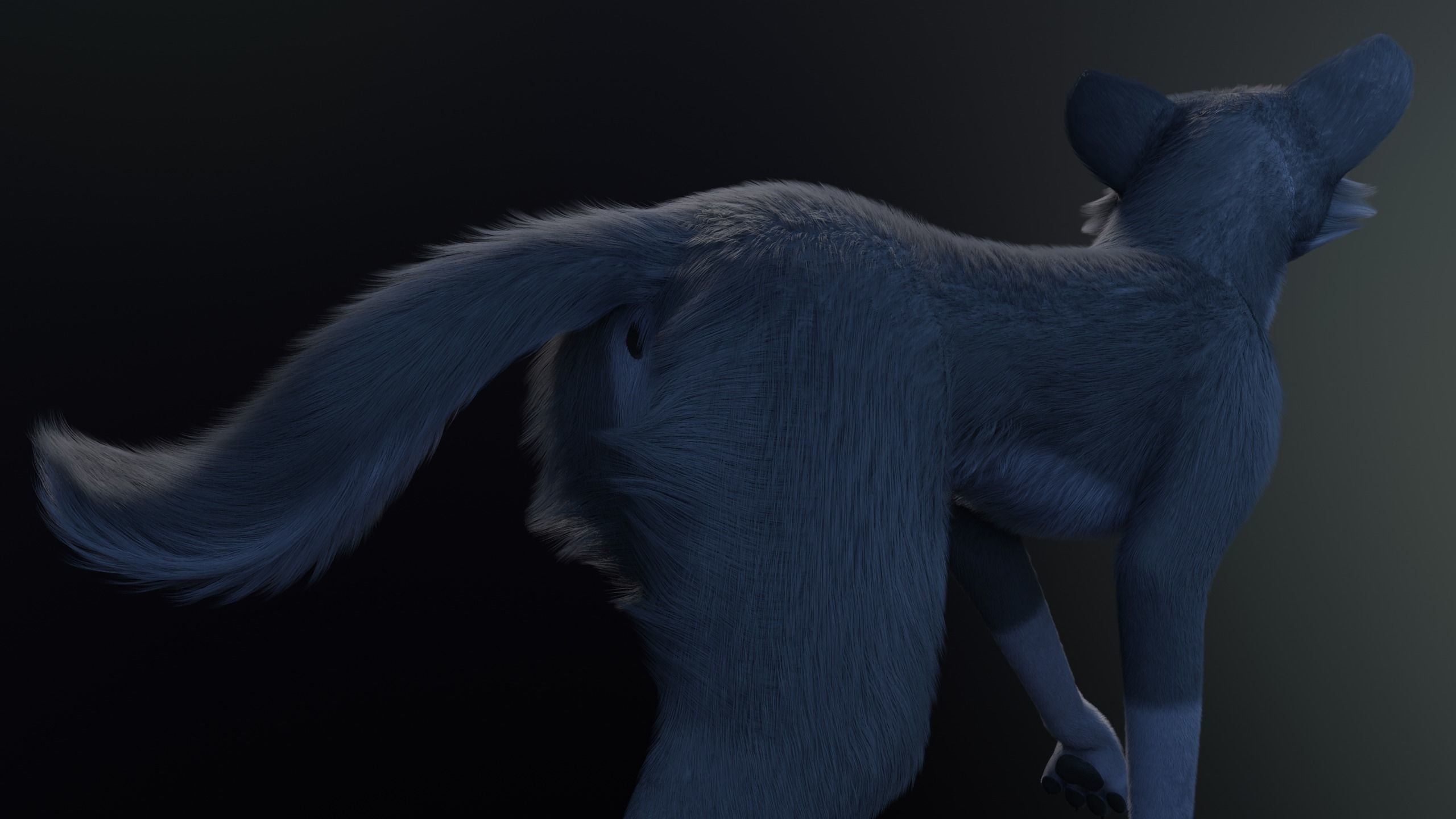 Niju Wolf 3D model_21