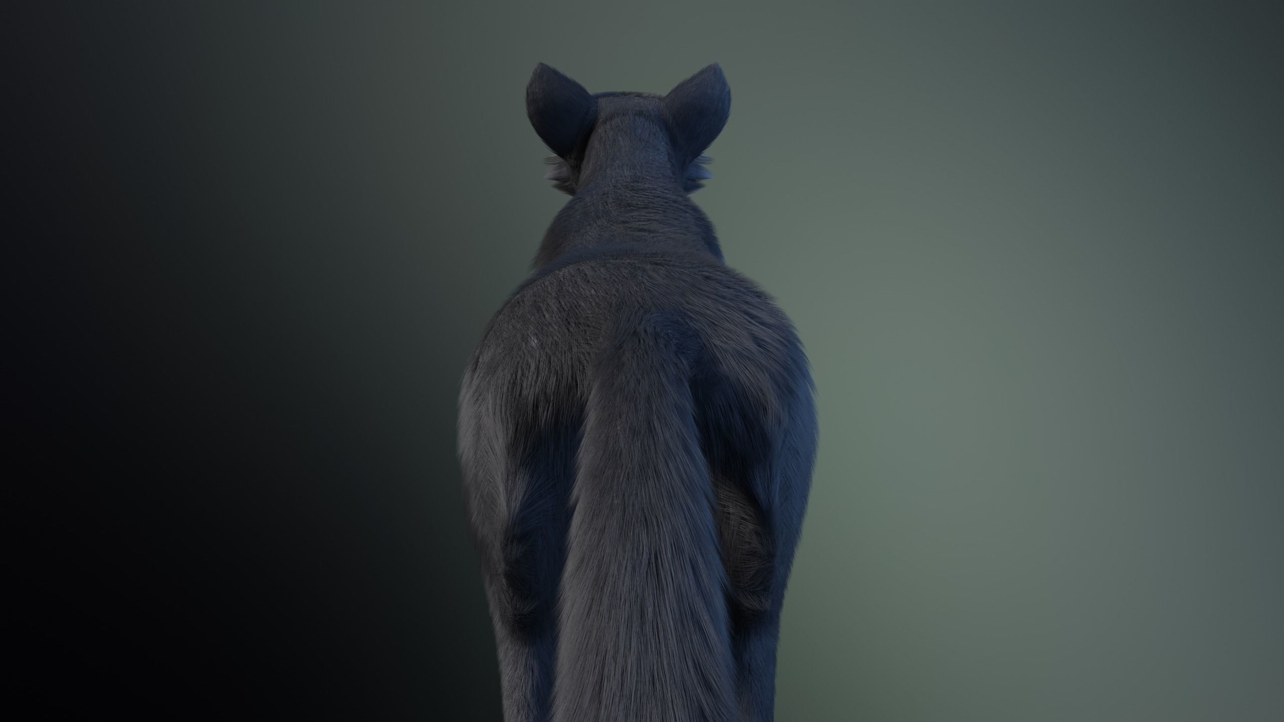Niju Wolf 3D model_8