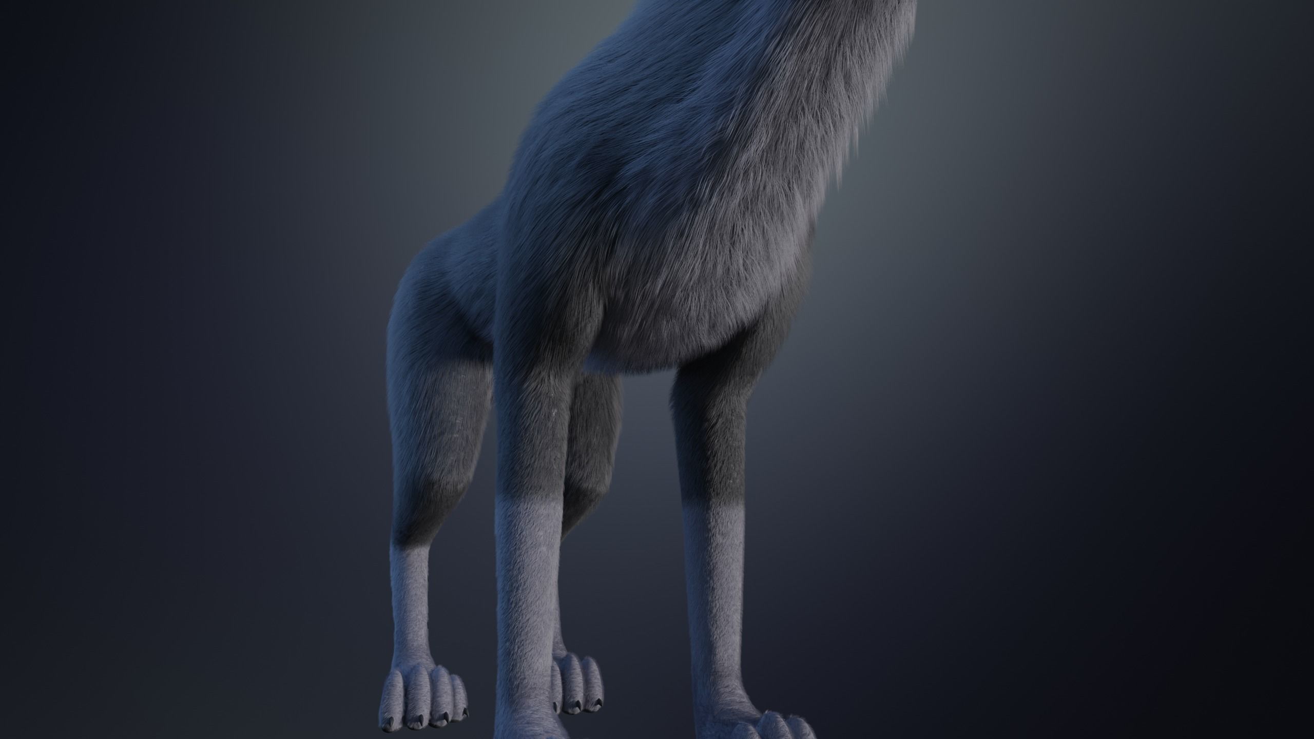 Niju Wolf 3D model_11