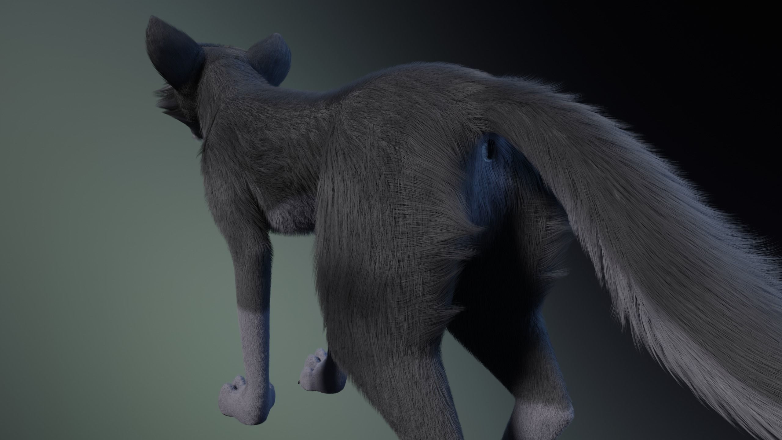 Niju Wolf 3D model_7