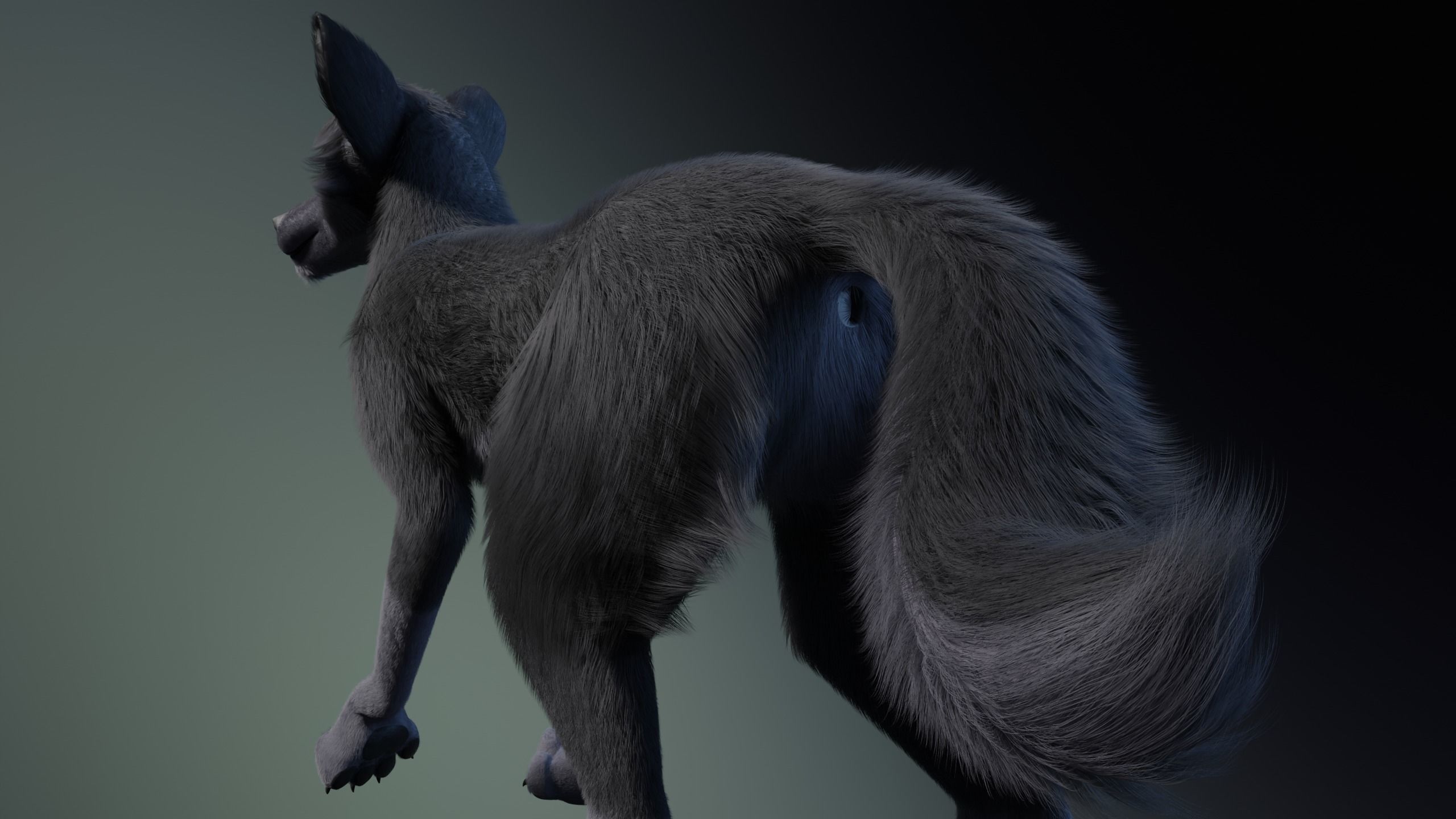 Niju Wolf 3D model_20