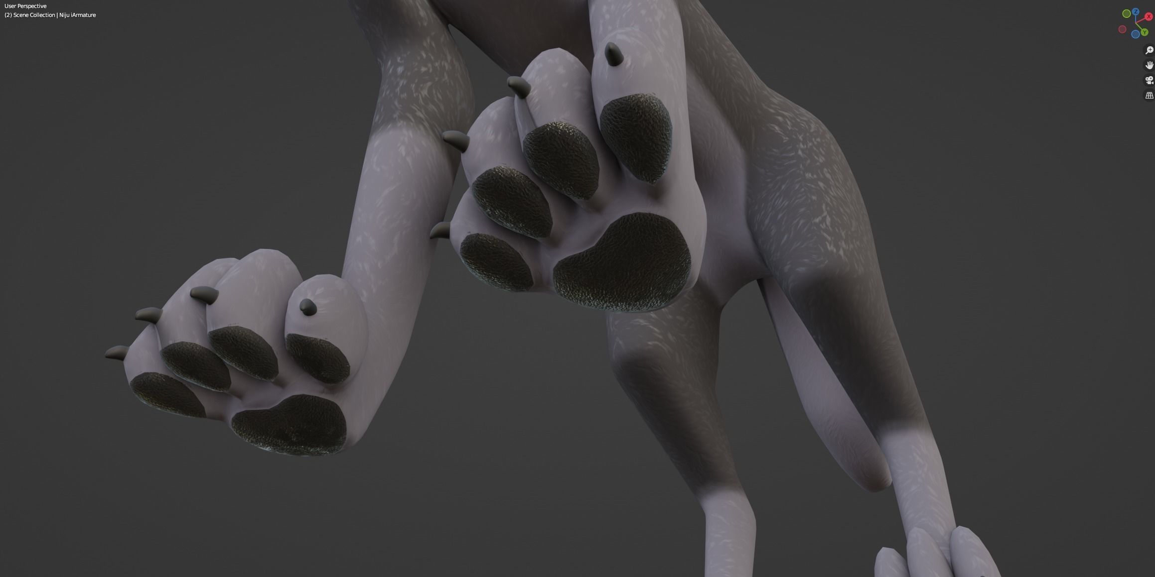 Niju Wolf 3D model_46