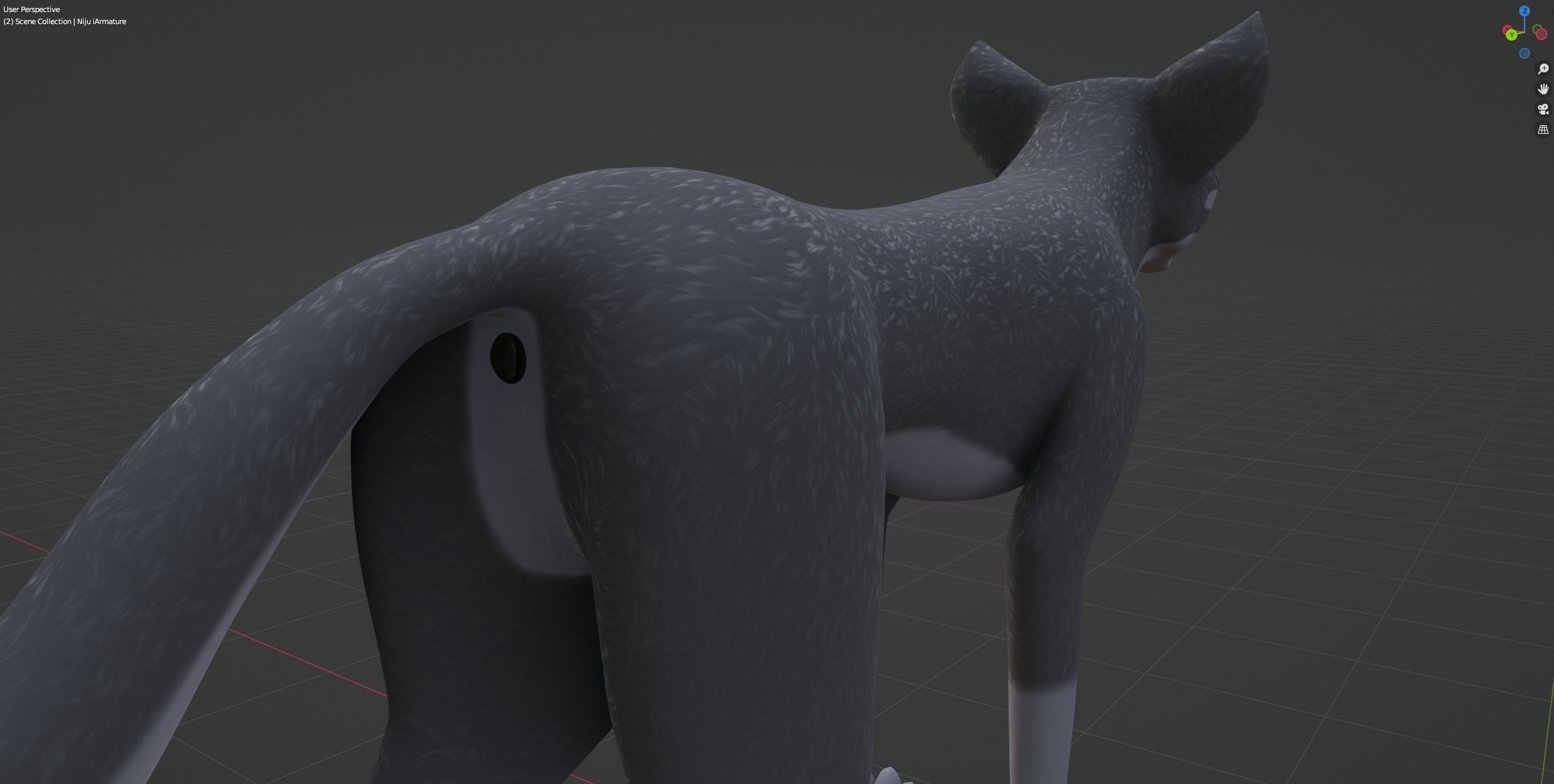 Niju Wolf 3D model_43