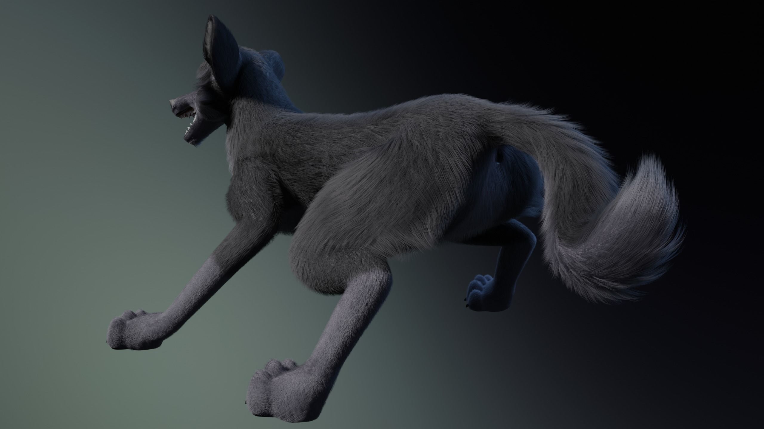 Niju Wolf 3D model_24