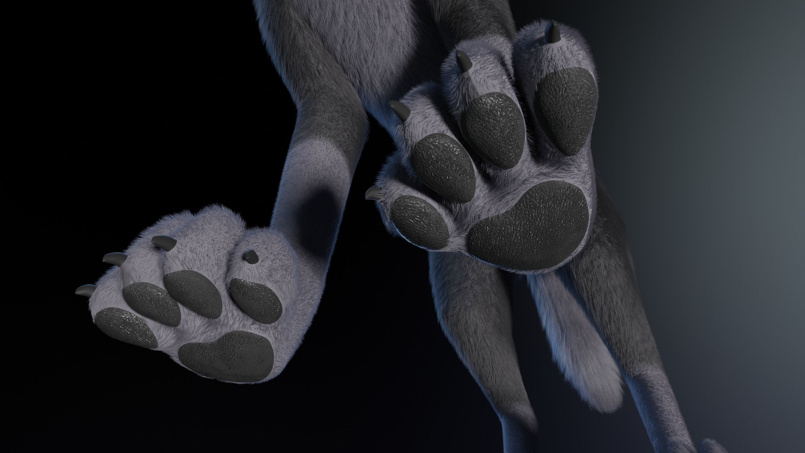 Niju Wolf 3D model_15