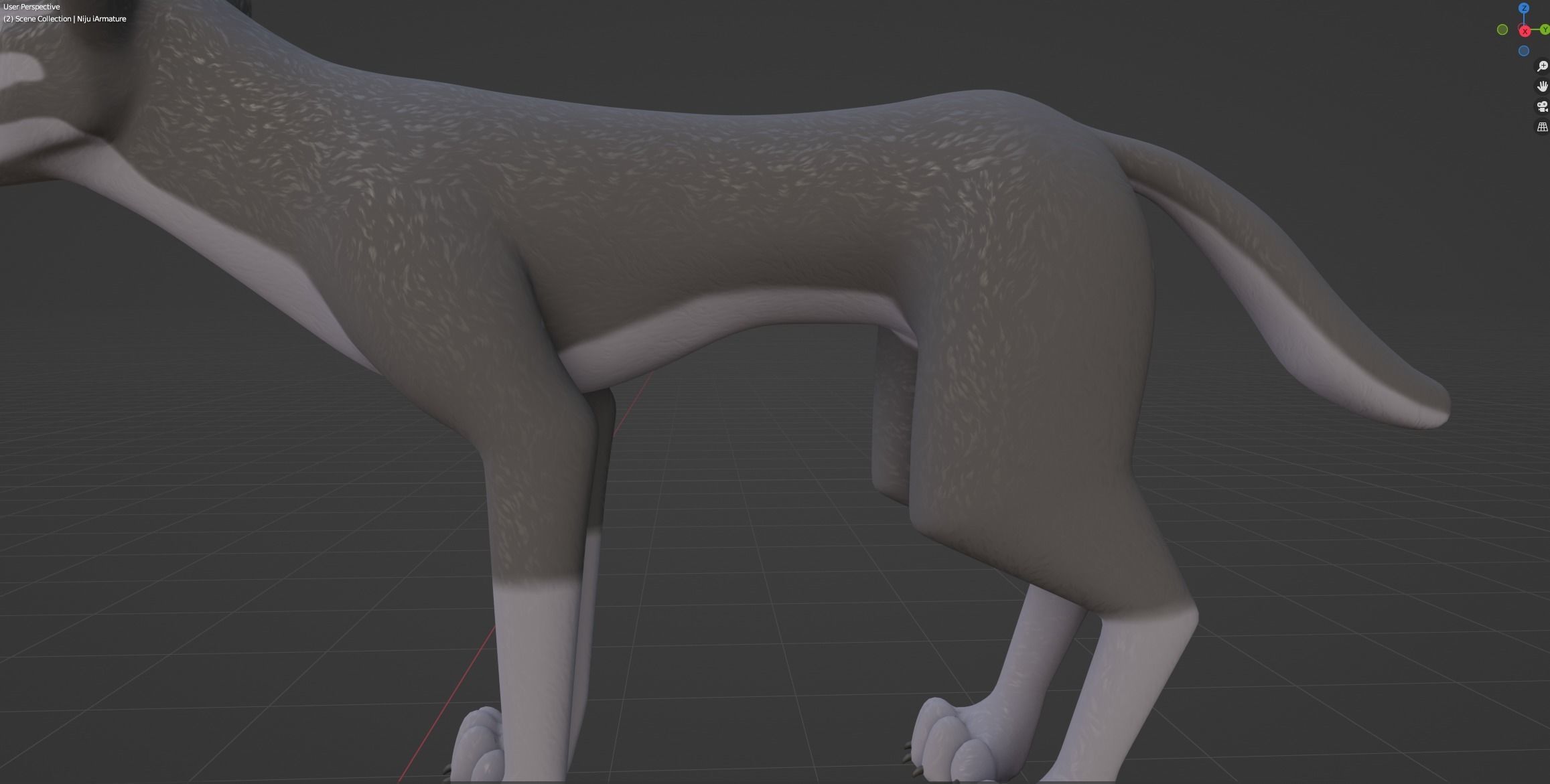 Niju Wolf 3D model_42