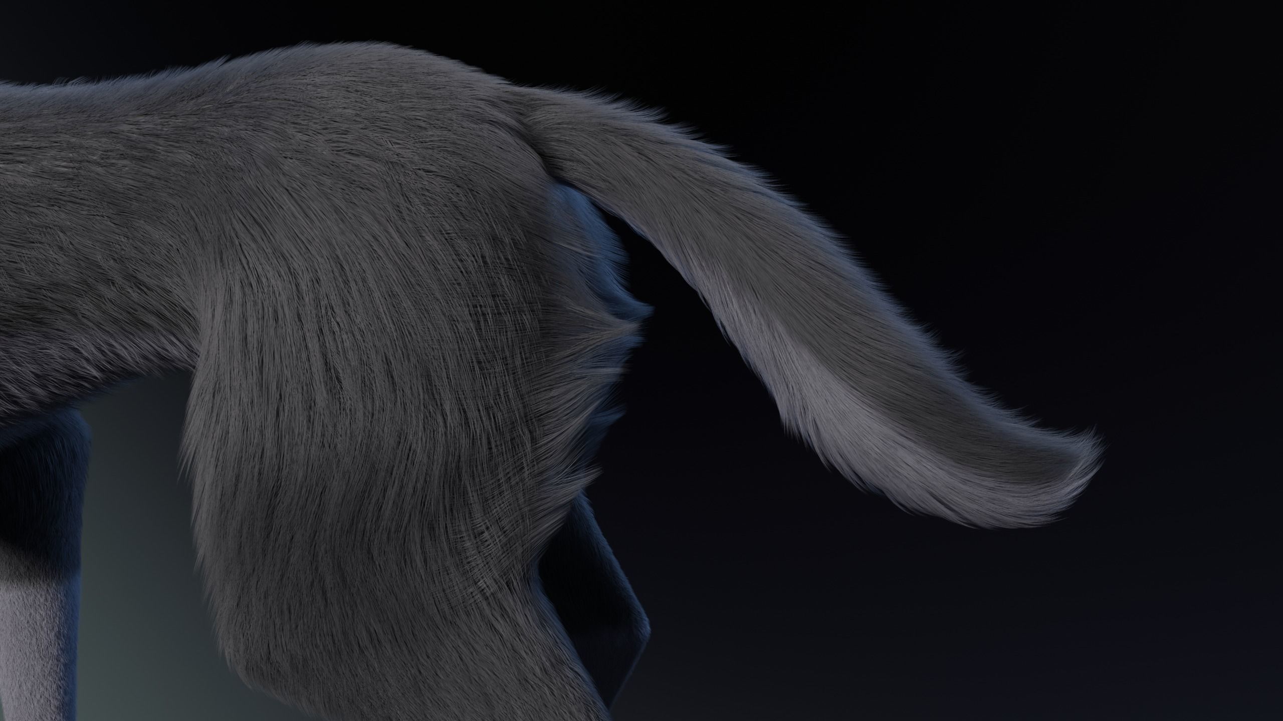 Niju Wolf 3D model_13