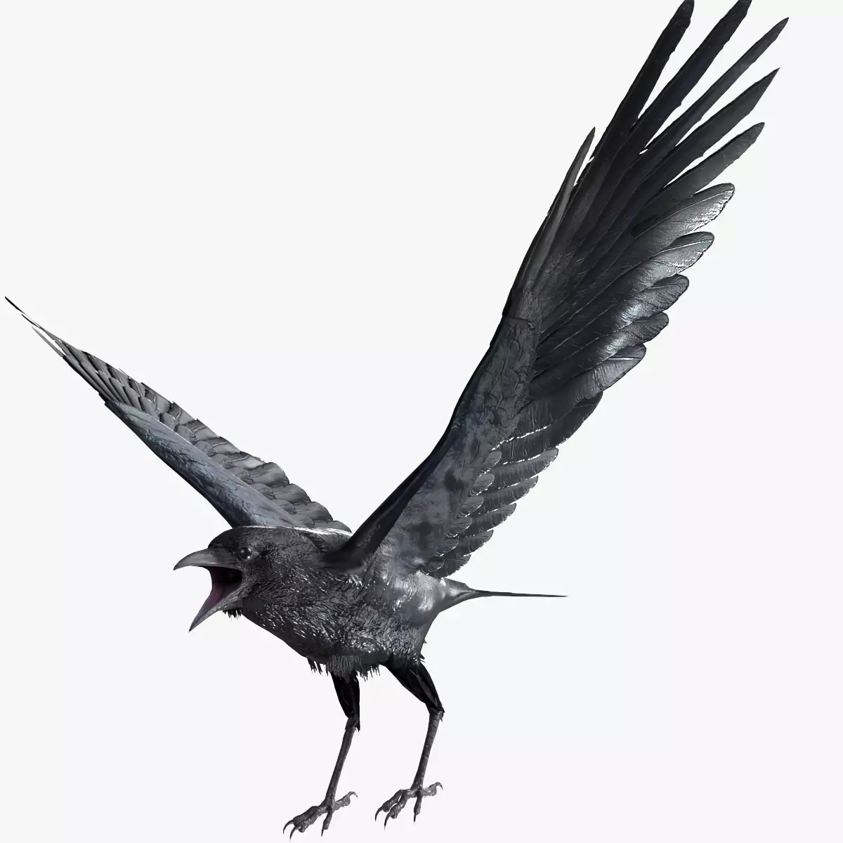 Crow Animated 3D model Low-poly 3D model_0