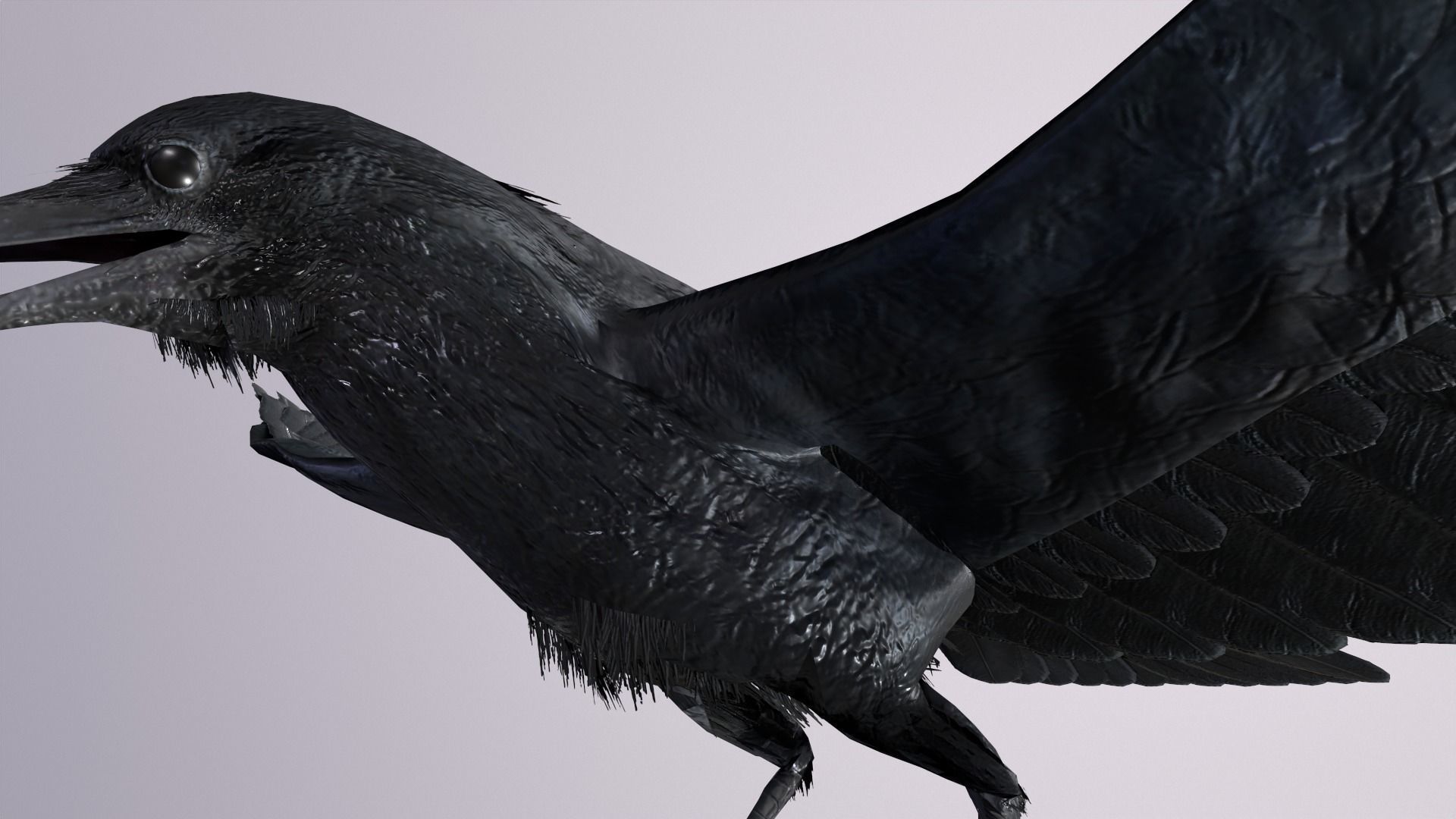 Crow Animated 3D model Low-poly 3D model_9