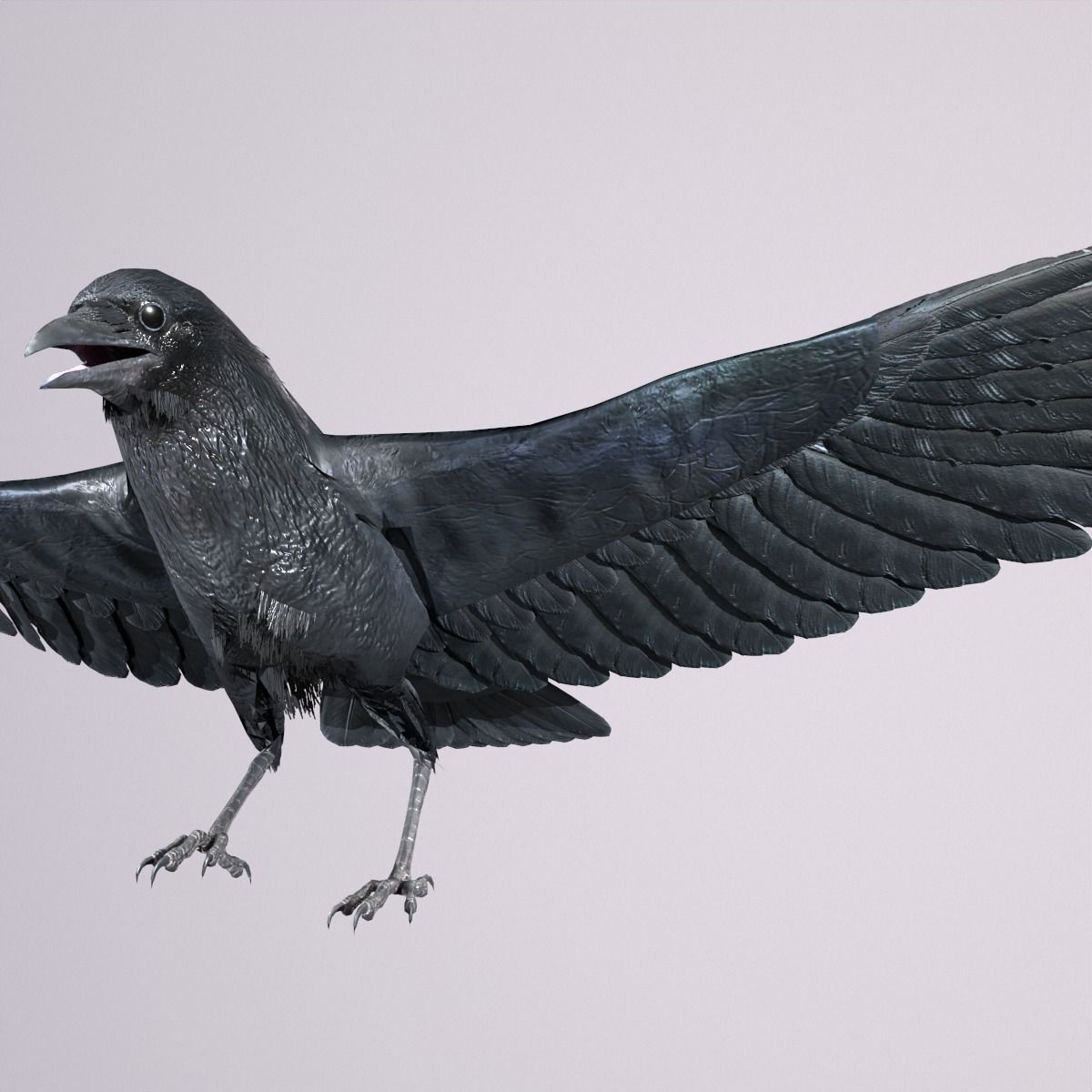 Crow Animated 3D model Low-poly 3D model_15
