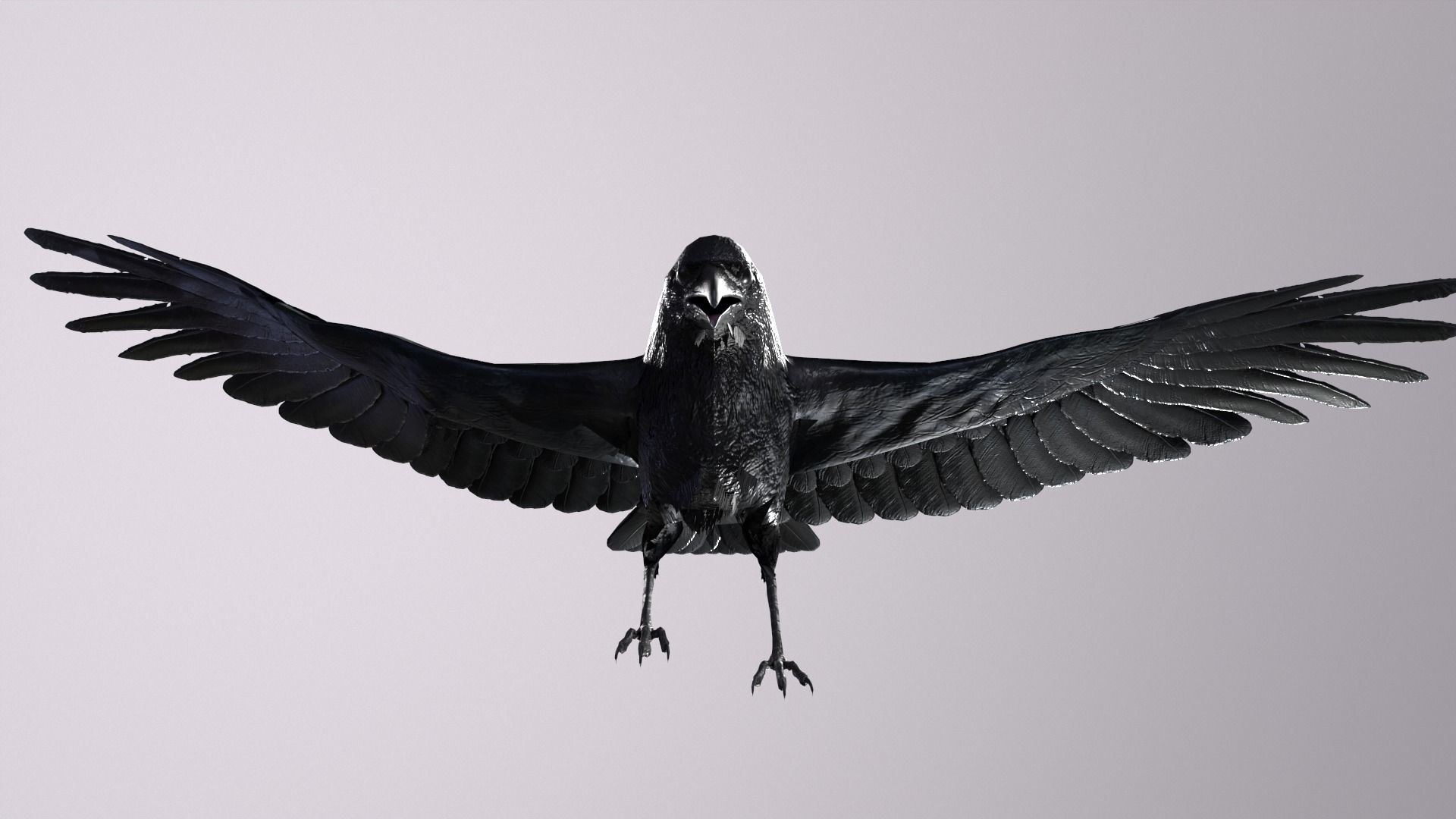 Crow Animated 3D model Low-poly 3D model_17