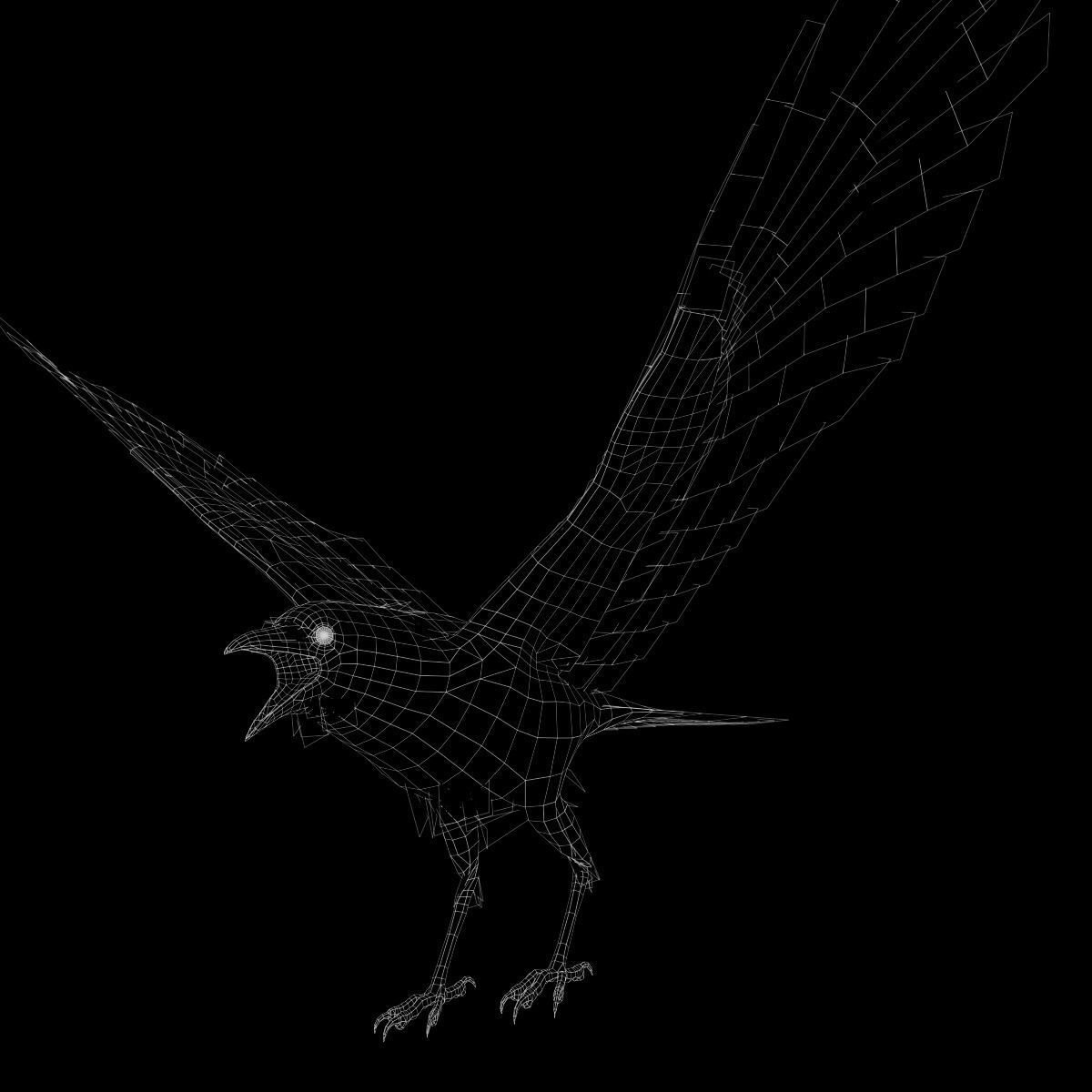 Crow Animated 3D model Low-poly 3D model_14