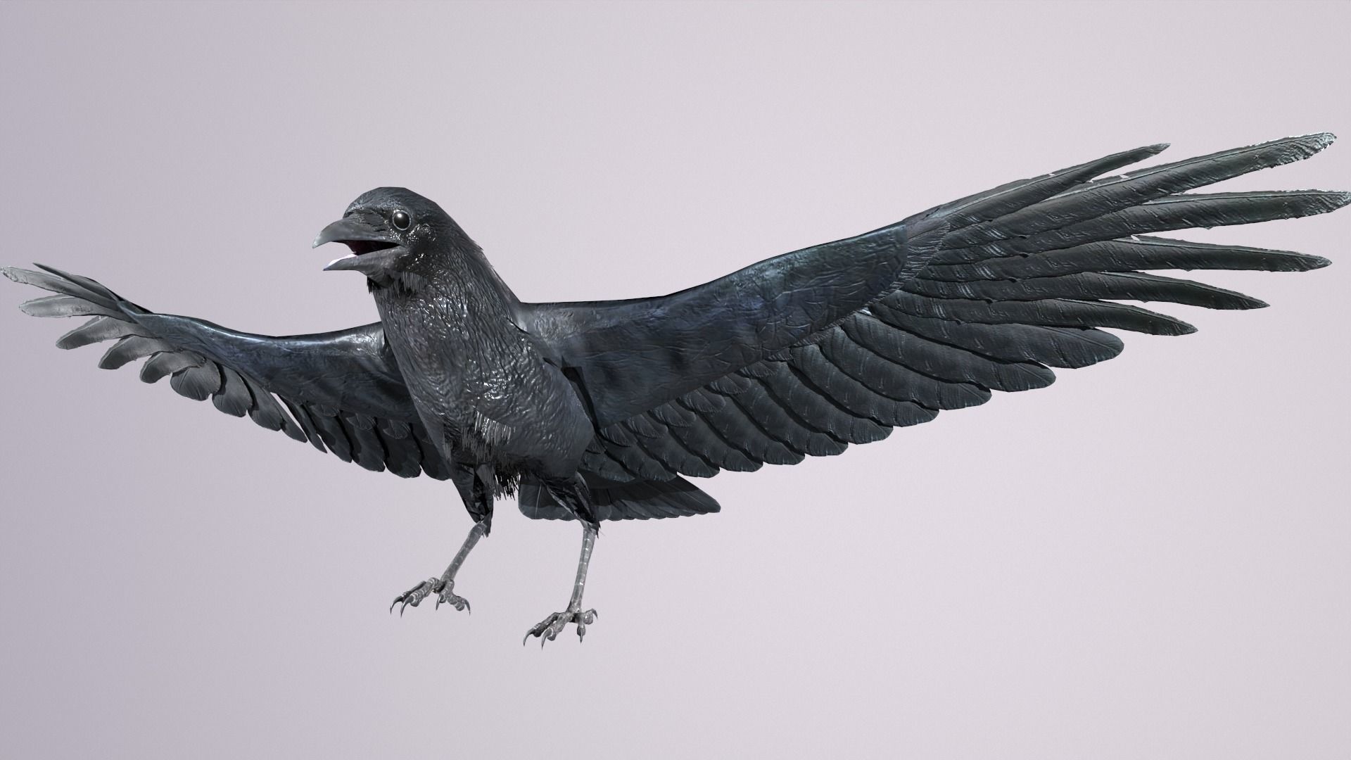 Crow Animated 3D model Low-poly 3D model_7