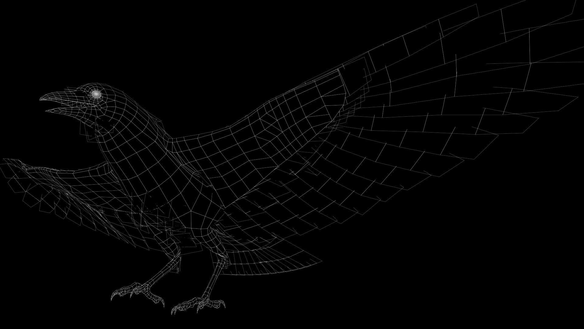 Crow Animated 3D model Low-poly 3D model_20