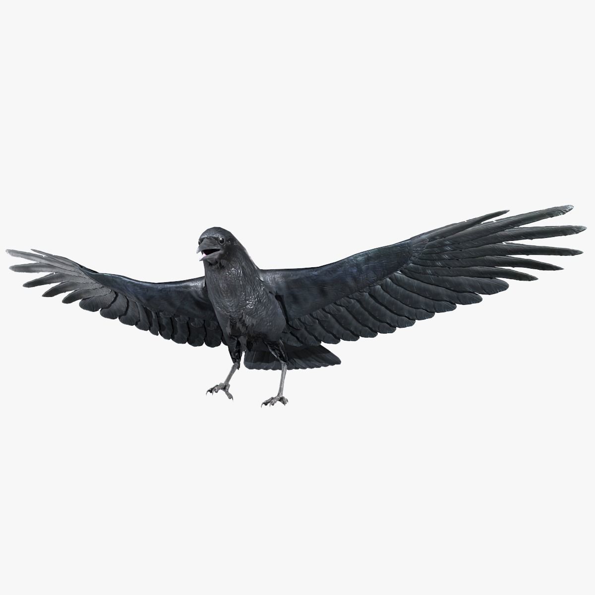 Crow Animated 3D model Low-poly 3D model_2