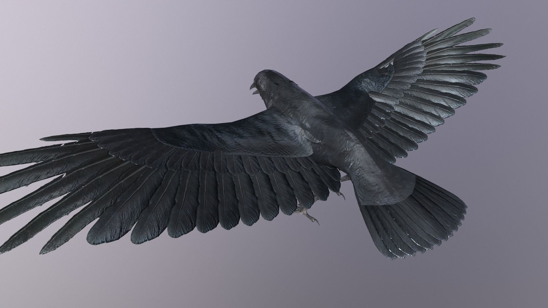 Crow Animated 3D model Low-poly 3D model_4