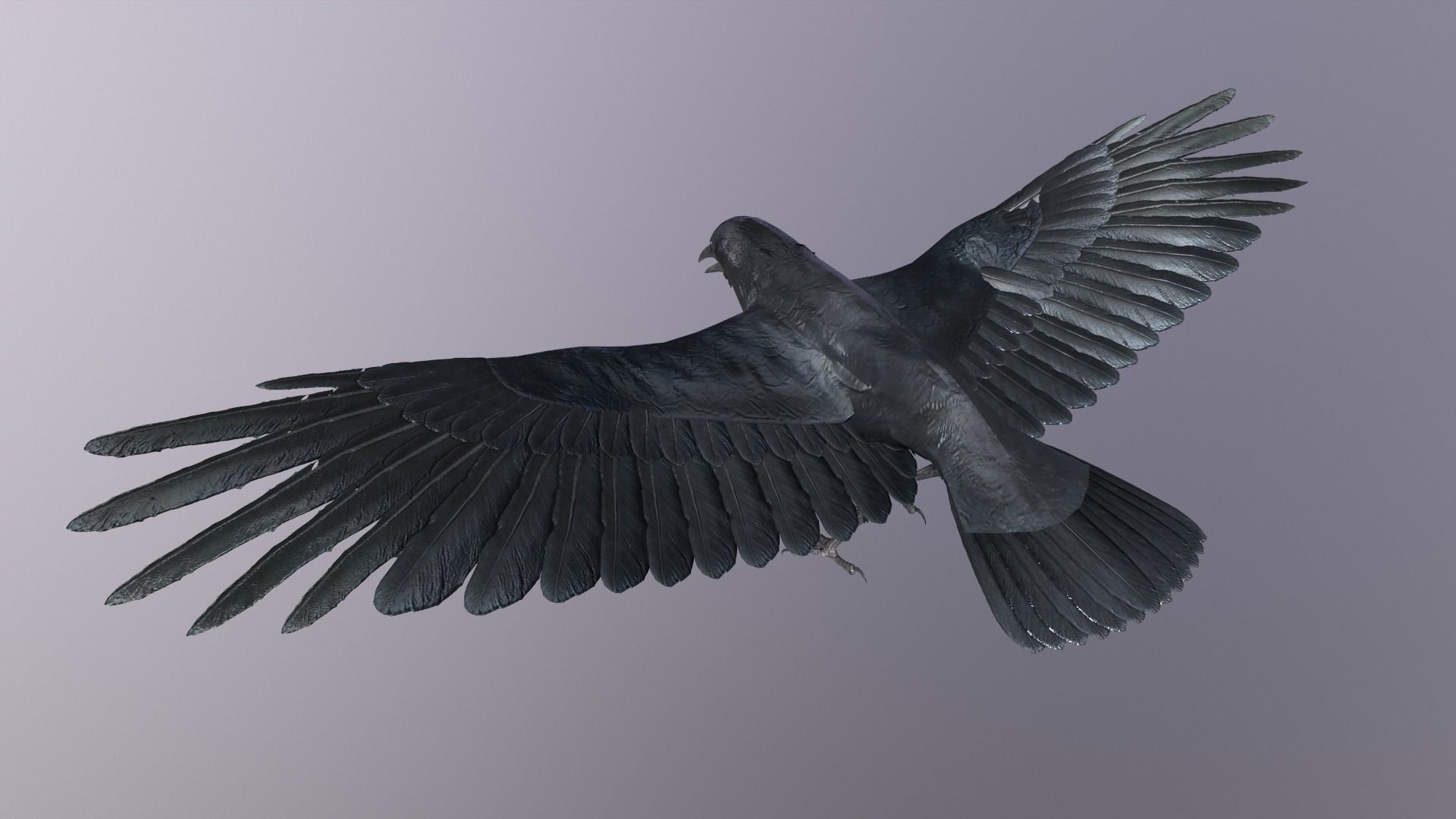Crow Animated 3D model Low-poly 3D model_6