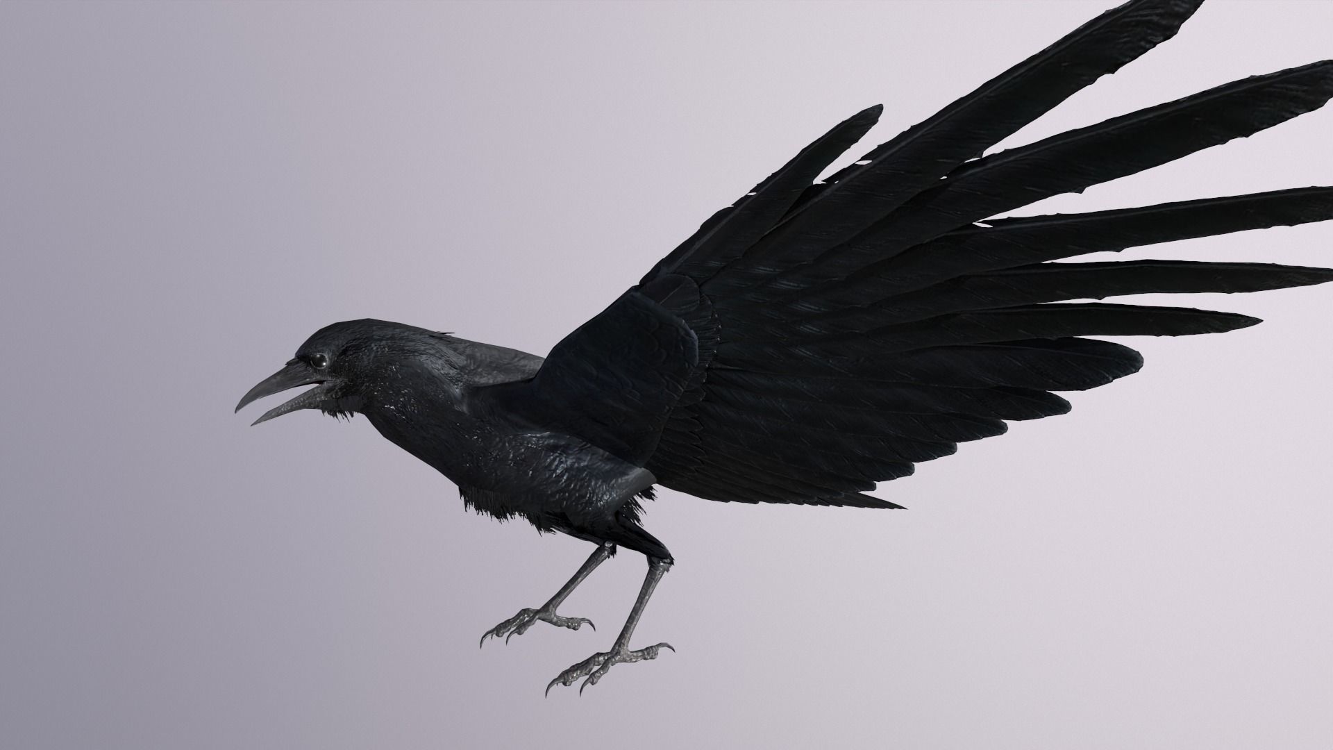 Crow Animated 3D model Low-poly 3D model_8