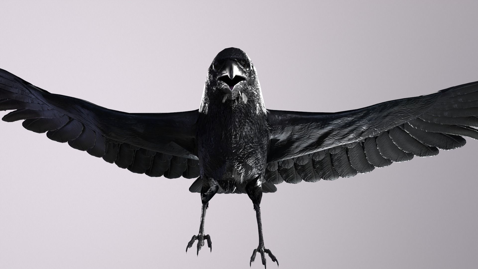 Crow Animated 3D model Low-poly 3D model_10