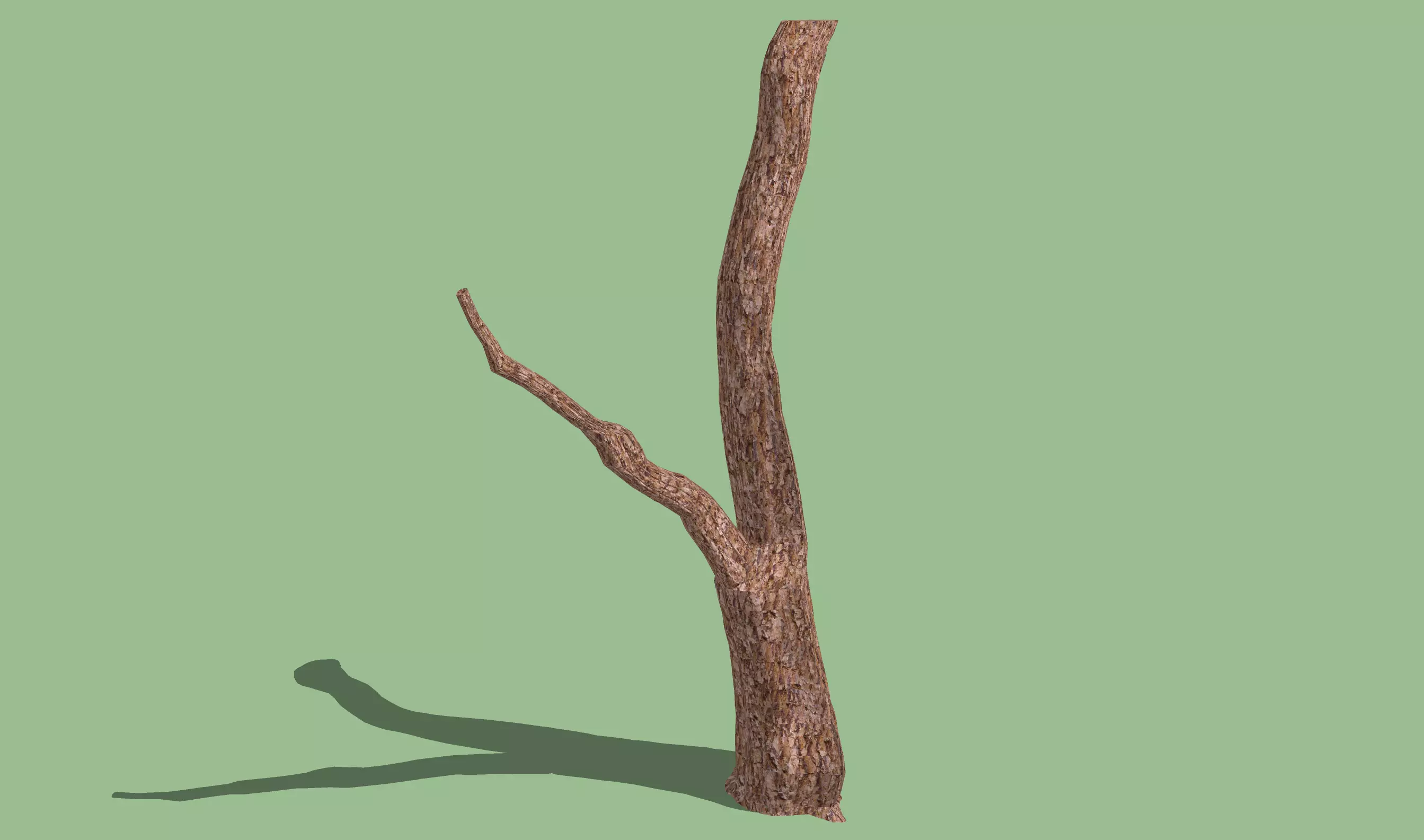 Old dead tree 3D model_0