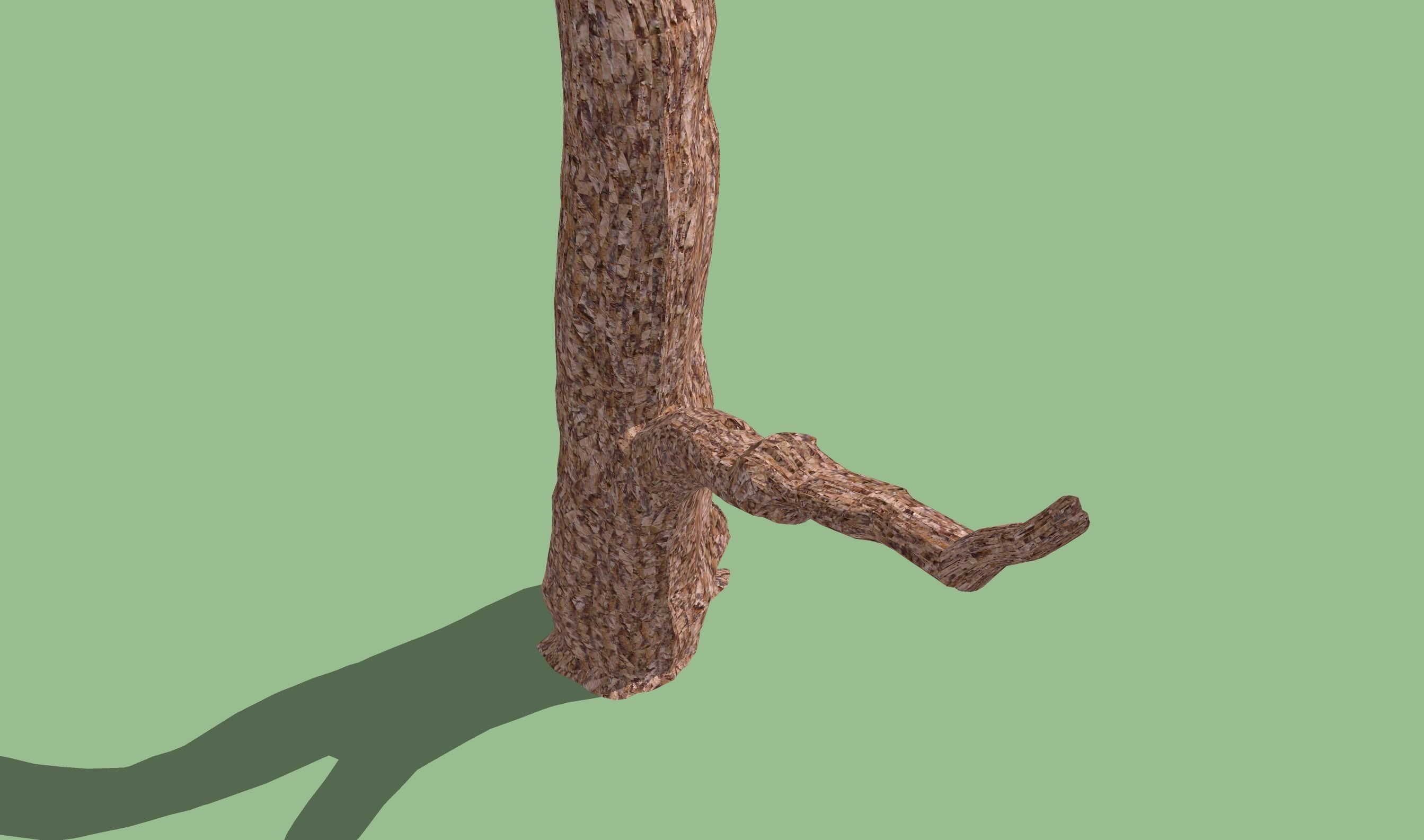 Old dead tree 3D model_2