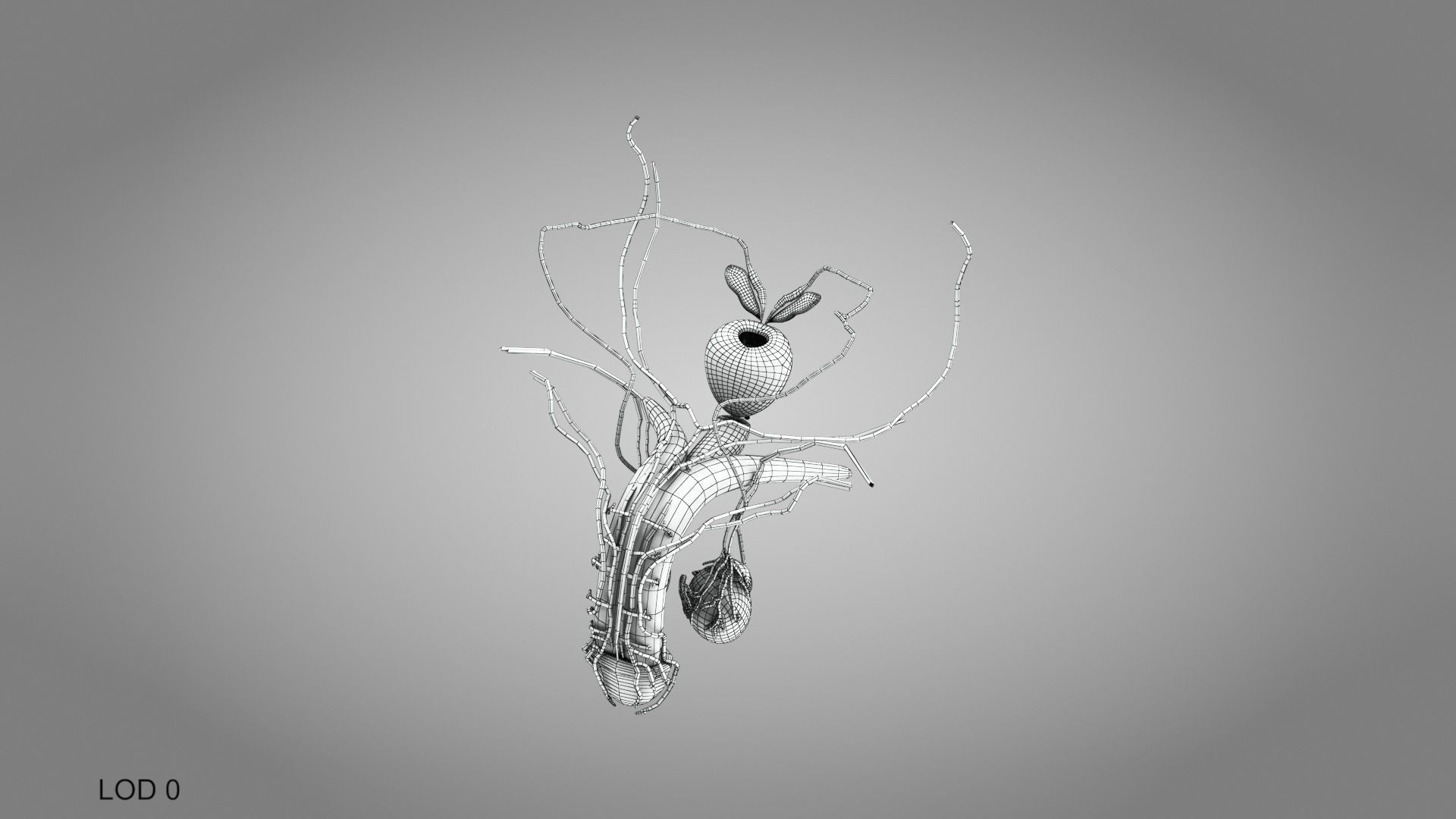 Male Reproductive system Low-poly 3D model_14