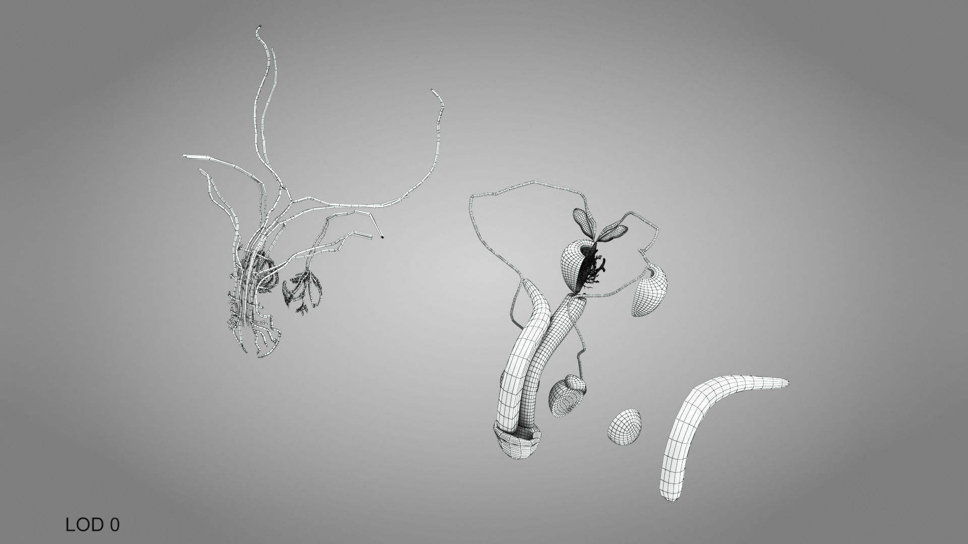 Male Reproductive system Low-poly 3D model_18