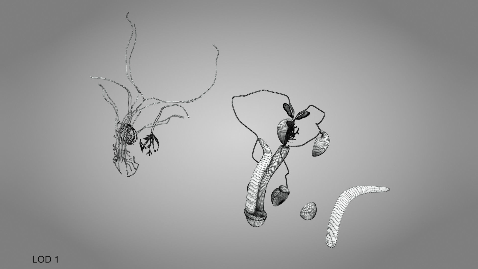 Male Reproductive system Low-poly 3D model_15