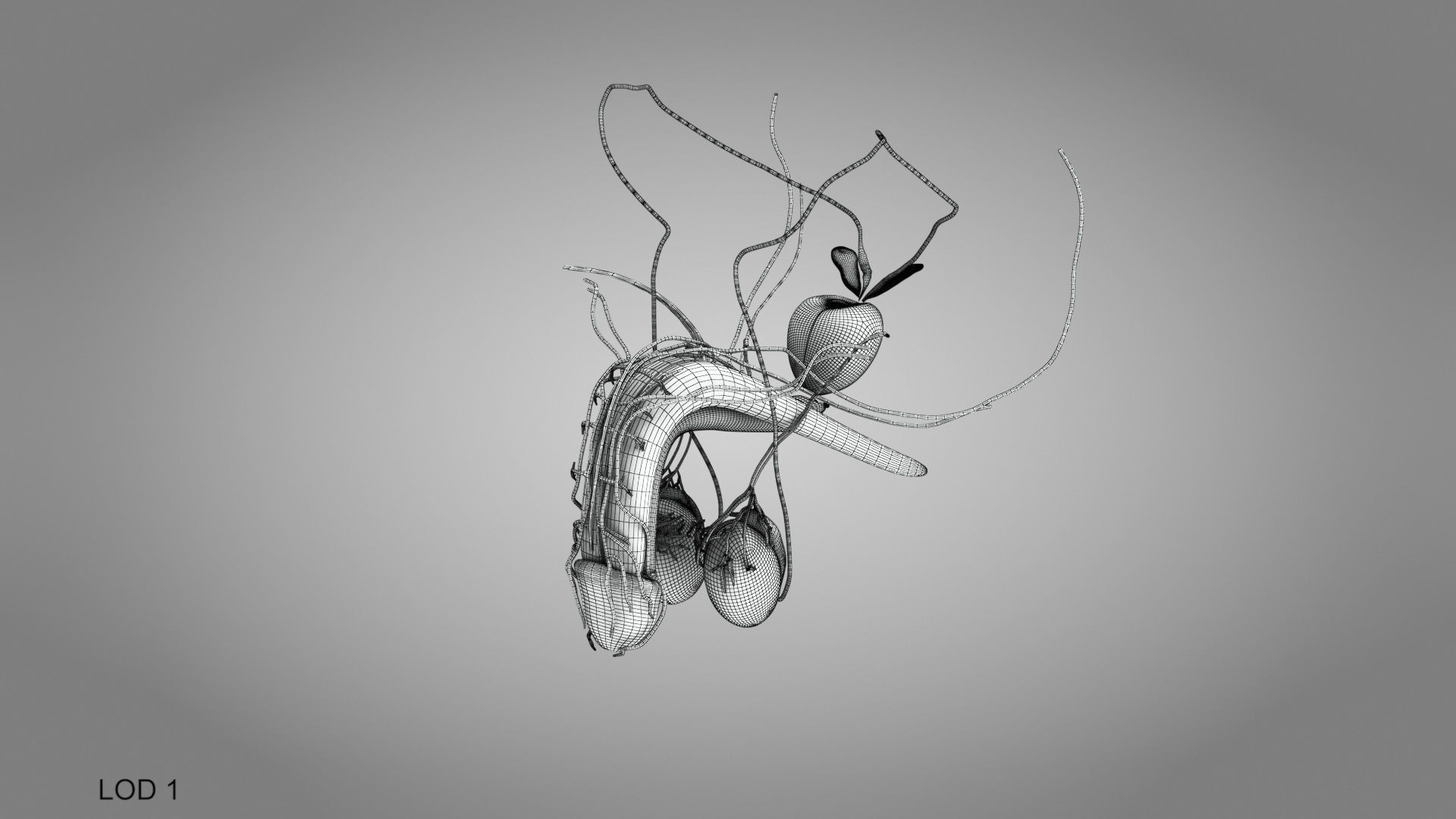 Male Reproductive system Low-poly 3D model_17