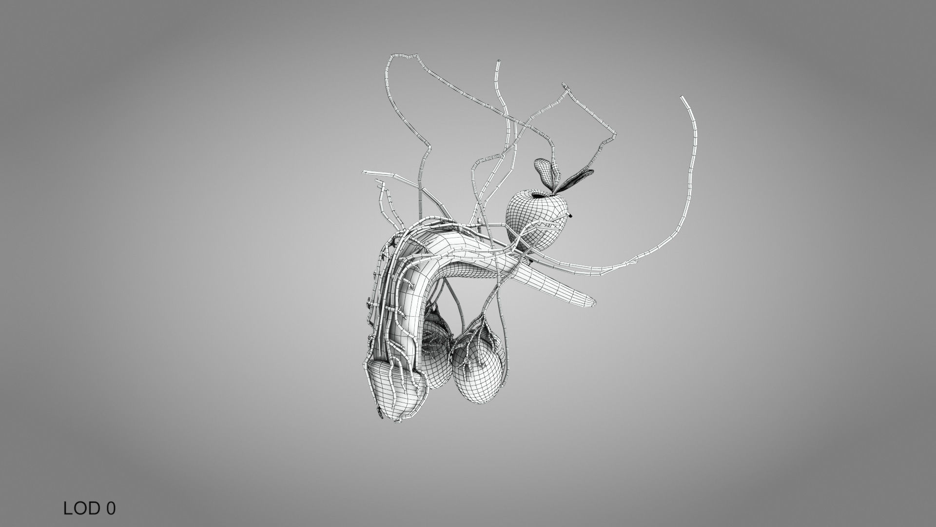 Male Reproductive system Low-poly 3D model_9