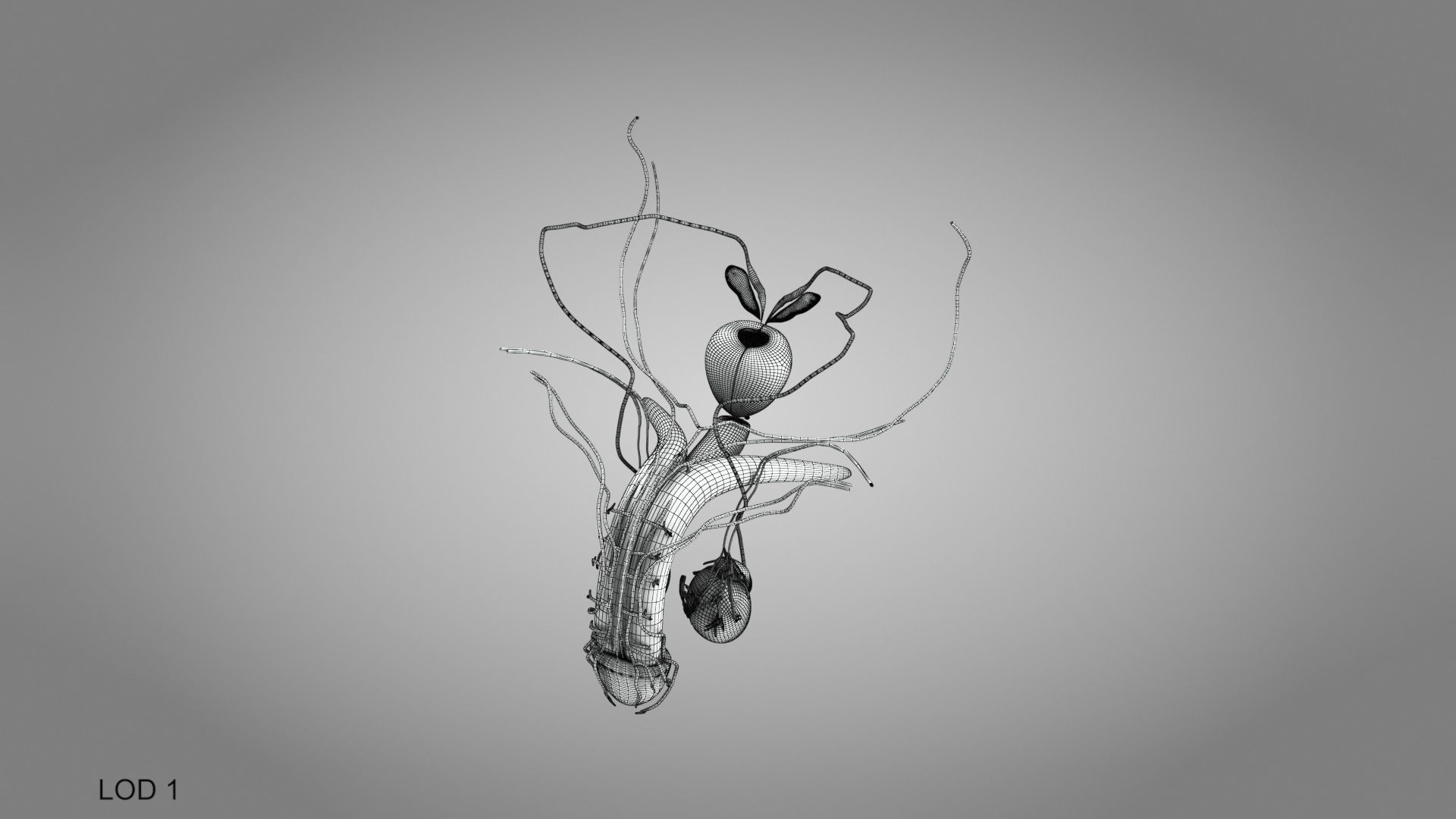 Male Reproductive system Low-poly 3D model_12