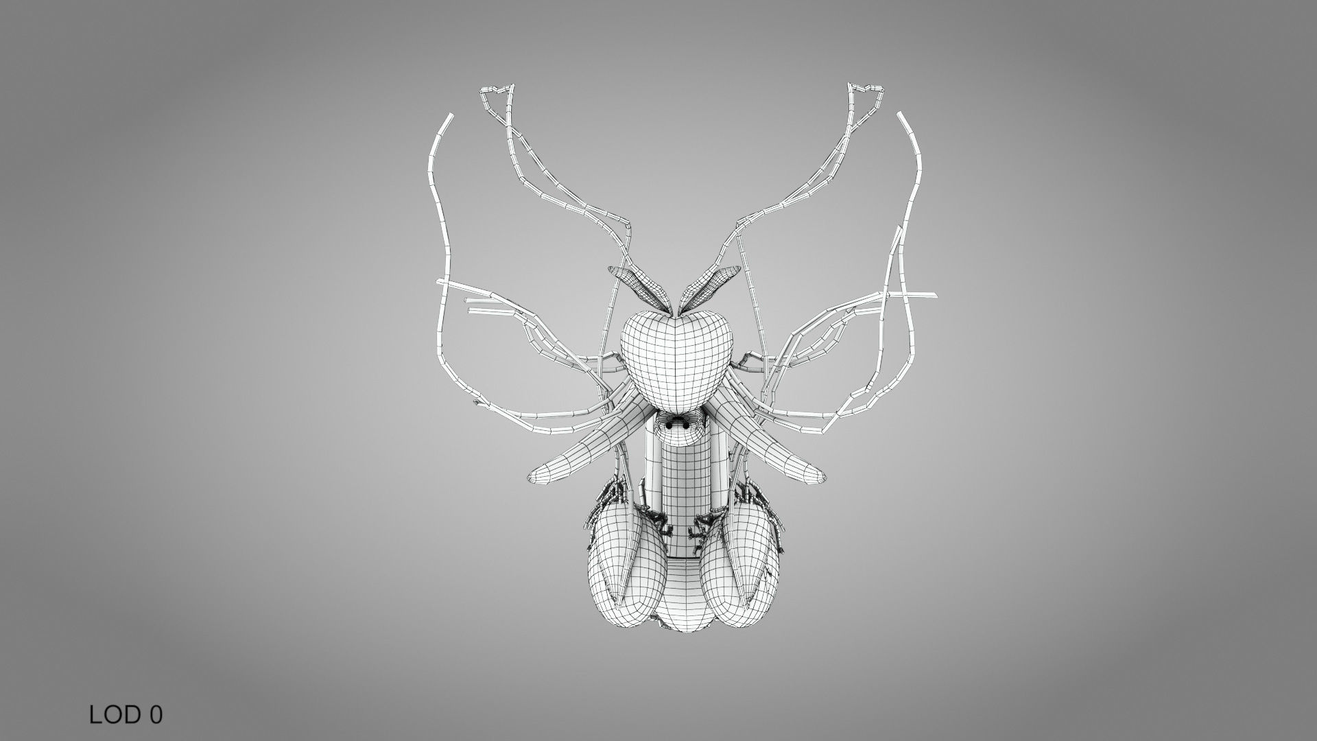 Male Reproductive system Low-poly 3D model_10