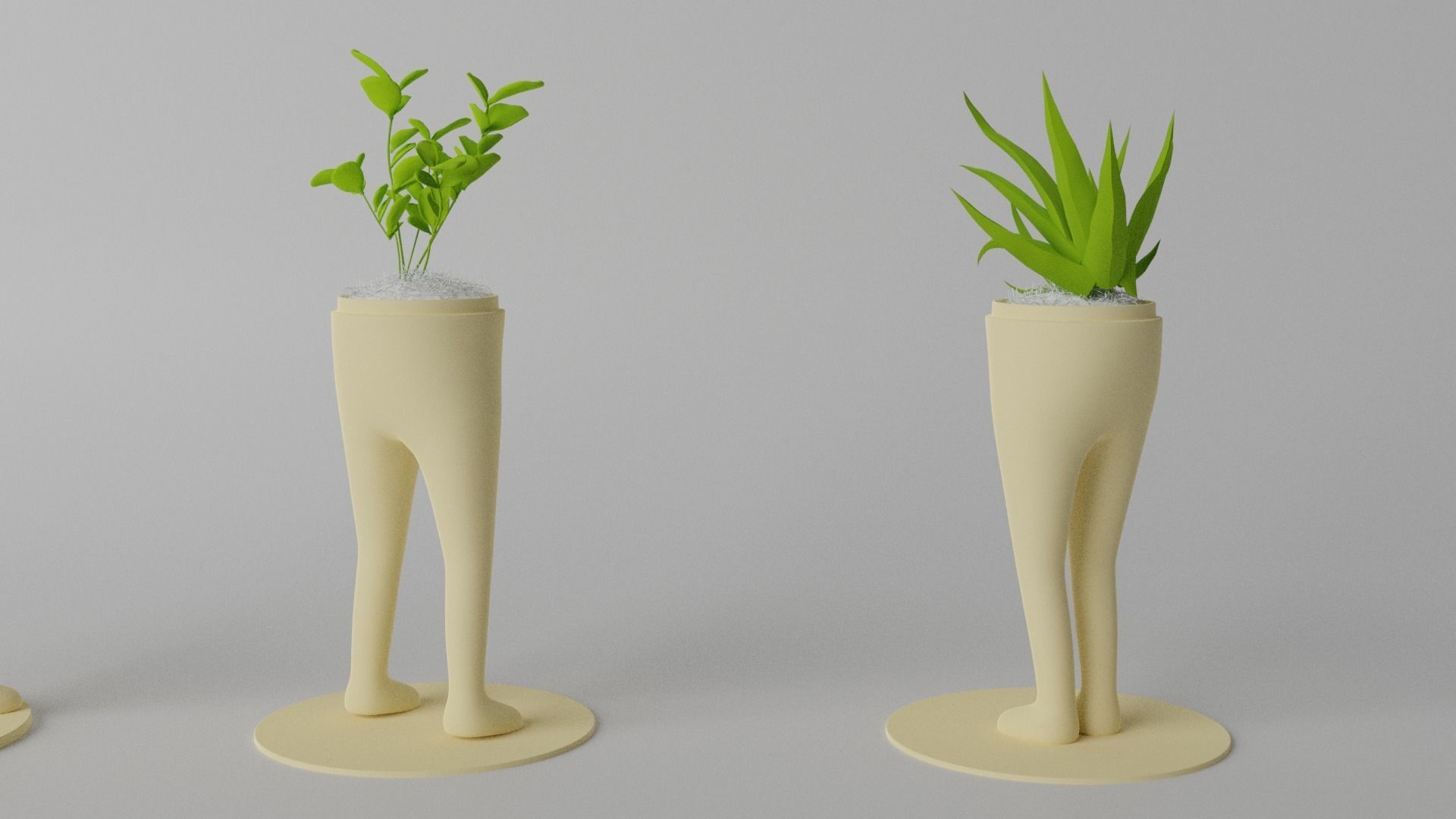 Succulent and Cactus in pot Low-poly 3D model_2