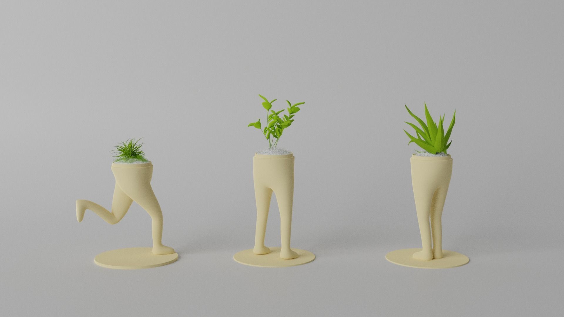 Succulent and Cactus in pot Low-poly 3D model_5