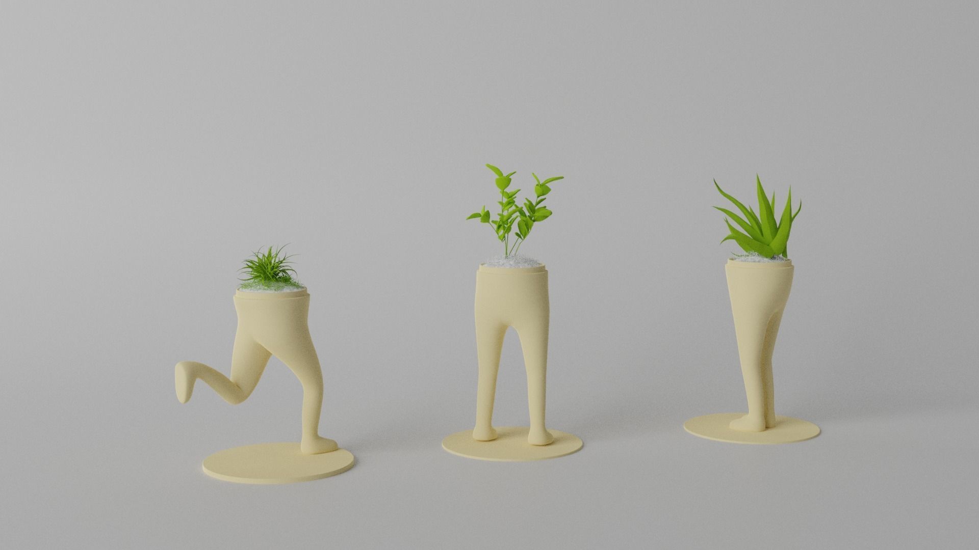 Succulent and Cactus in pot Low-poly 3D model_4