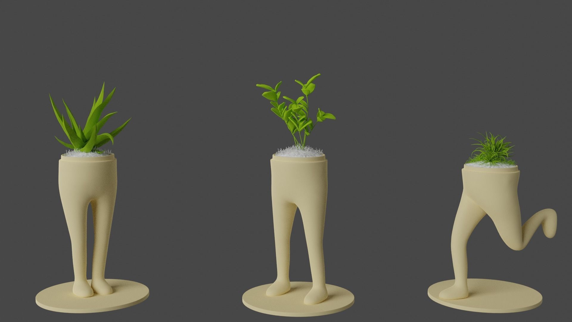 Succulent and Cactus in pot Low-poly 3D model_7