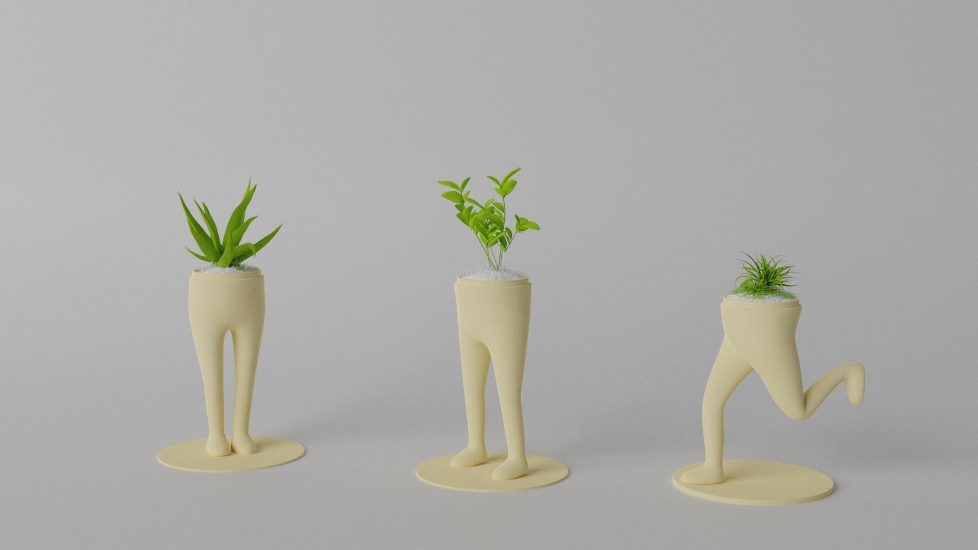 Succulent and Cactus in pot Low-poly 3D model_1