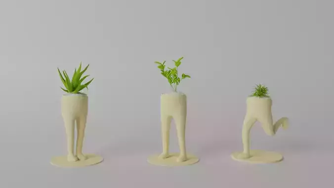 Succulent and Cactus in pot