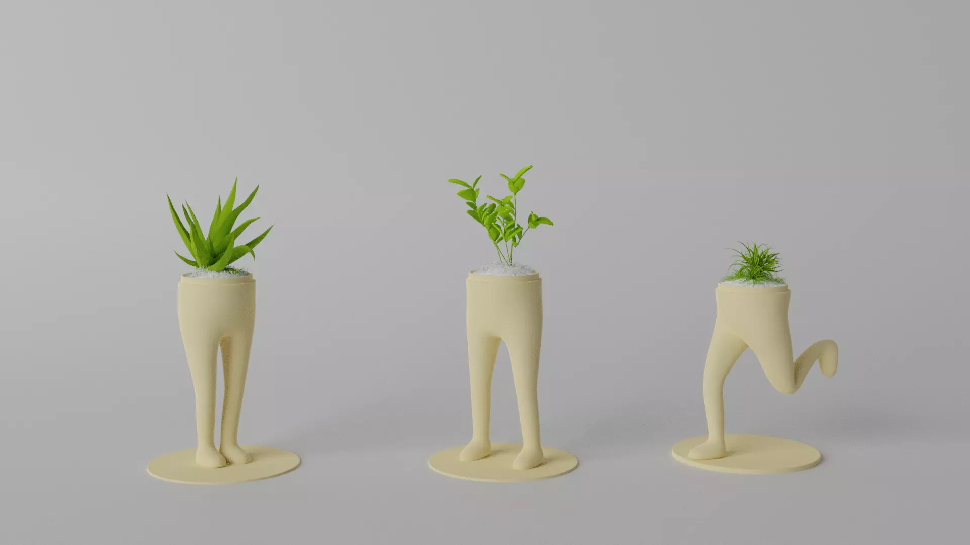 Succulent and Cactus in pot Low-poly 3D model_0